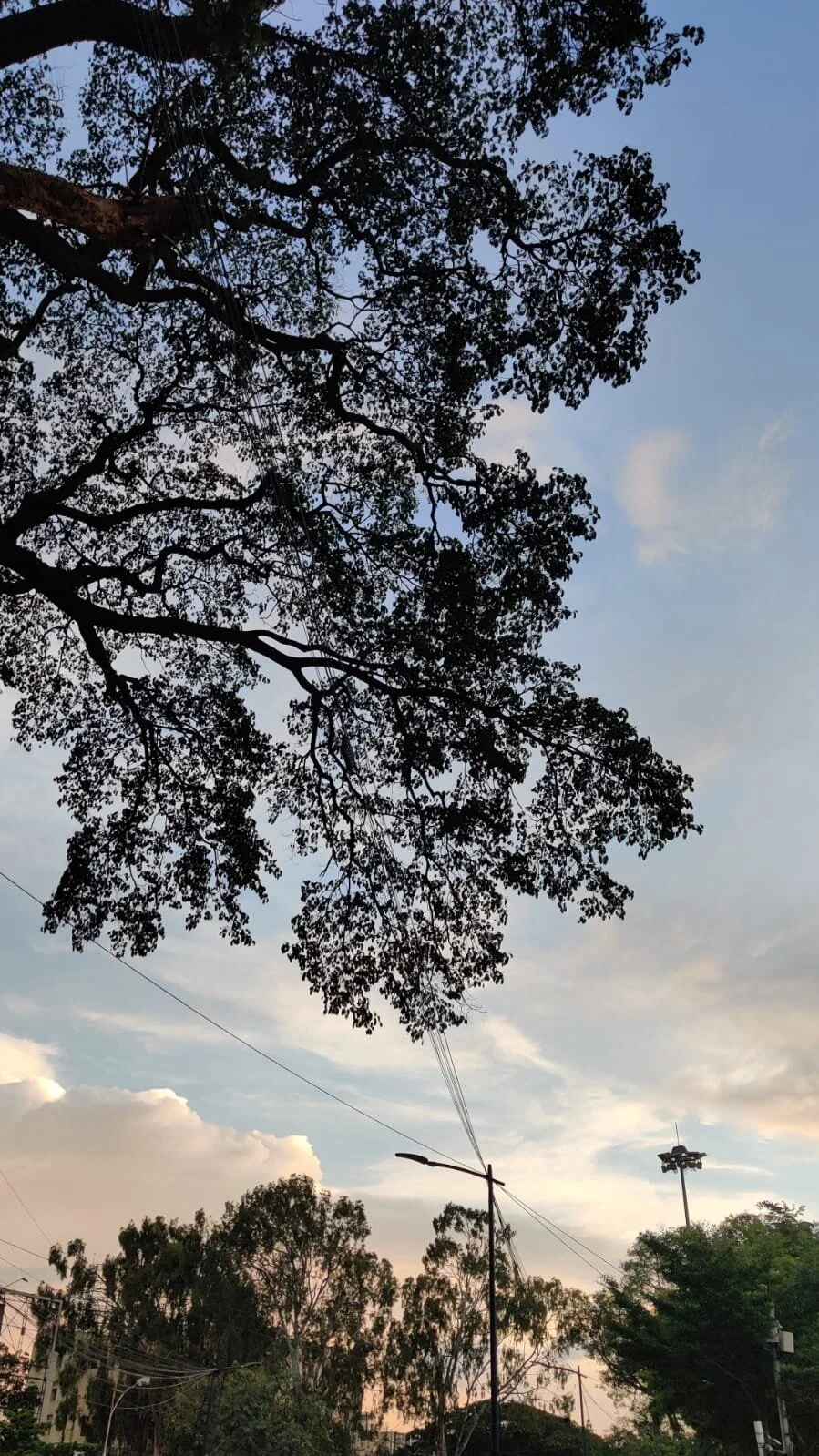 WhatsApp Image 2021-08-15 at 7.39.23 PM.jpeg