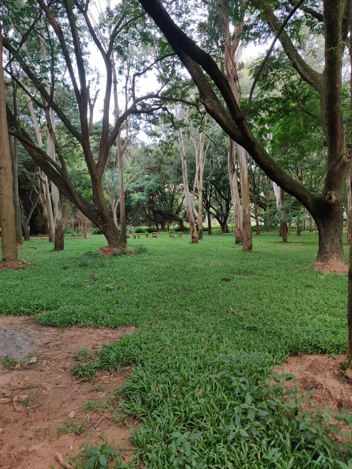 WhatsApp Image 2021-09-13 at 12.23.49 PM.jpeg