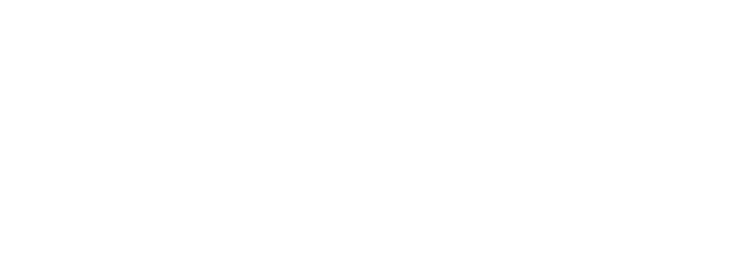 ac-funding-the-arts-se-white.png