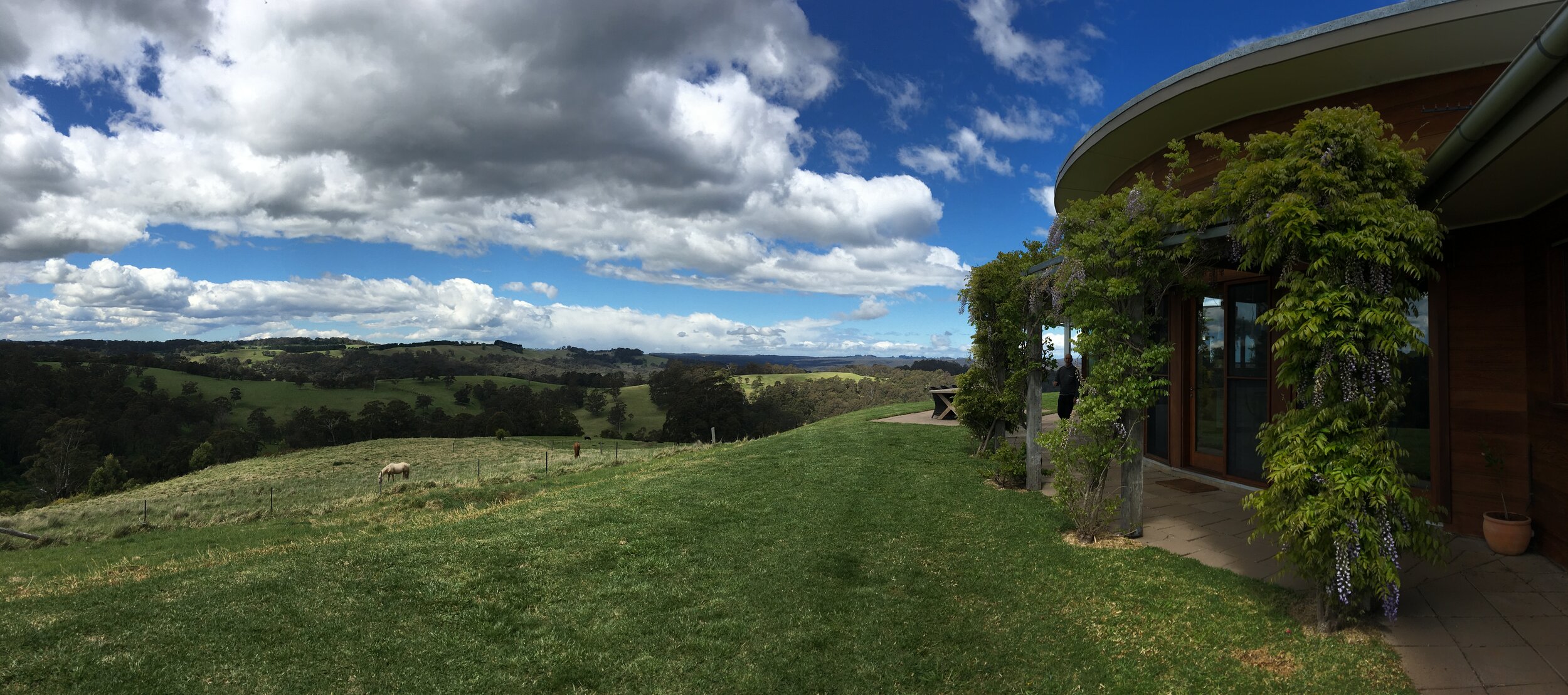 view looking toward merlya  state forest