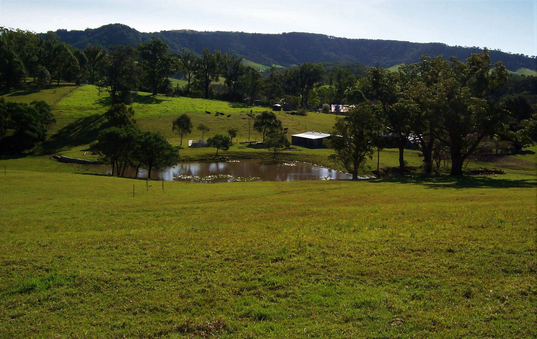 view looking north over the dam