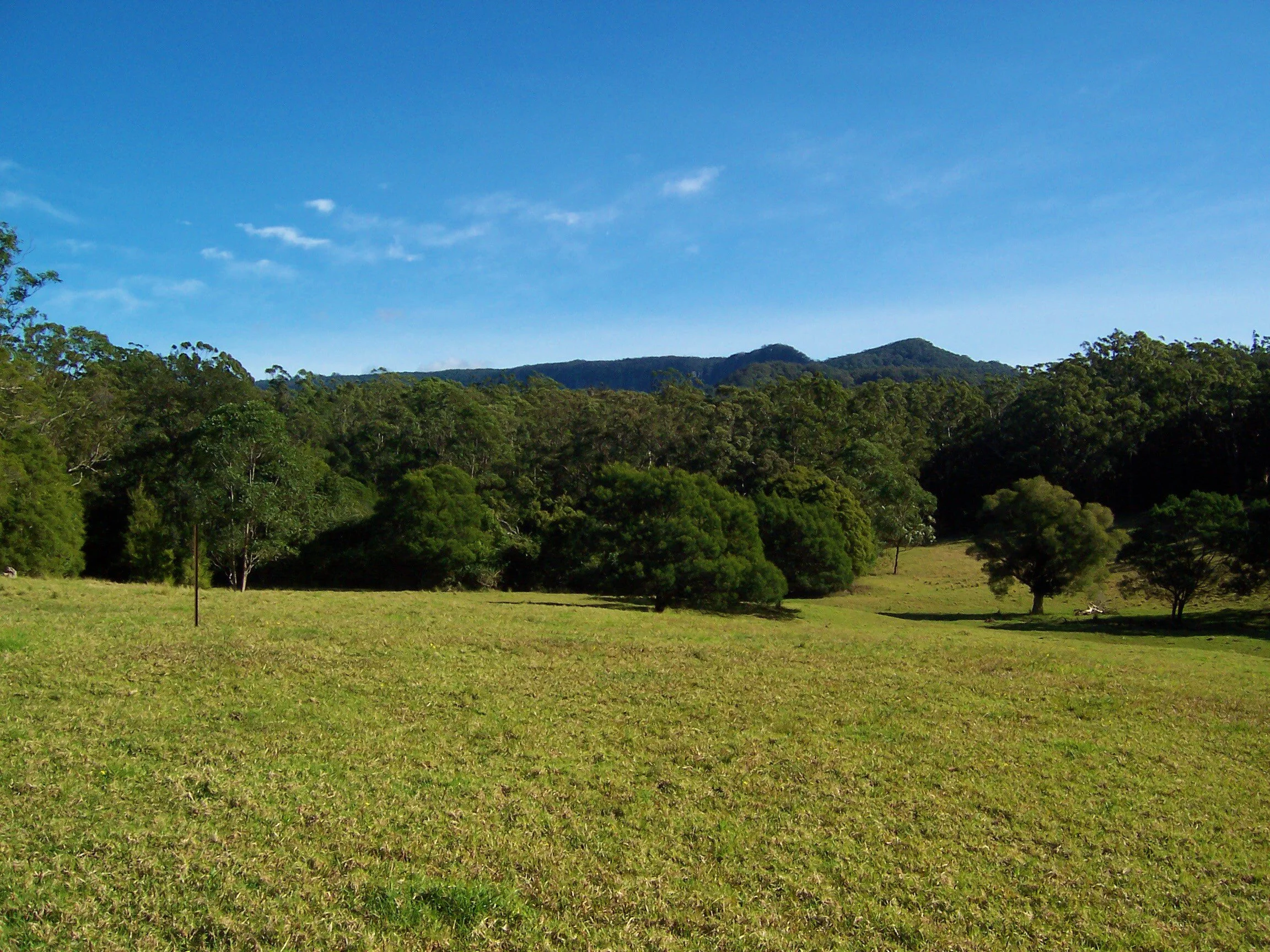 view of jamberoo from the house site