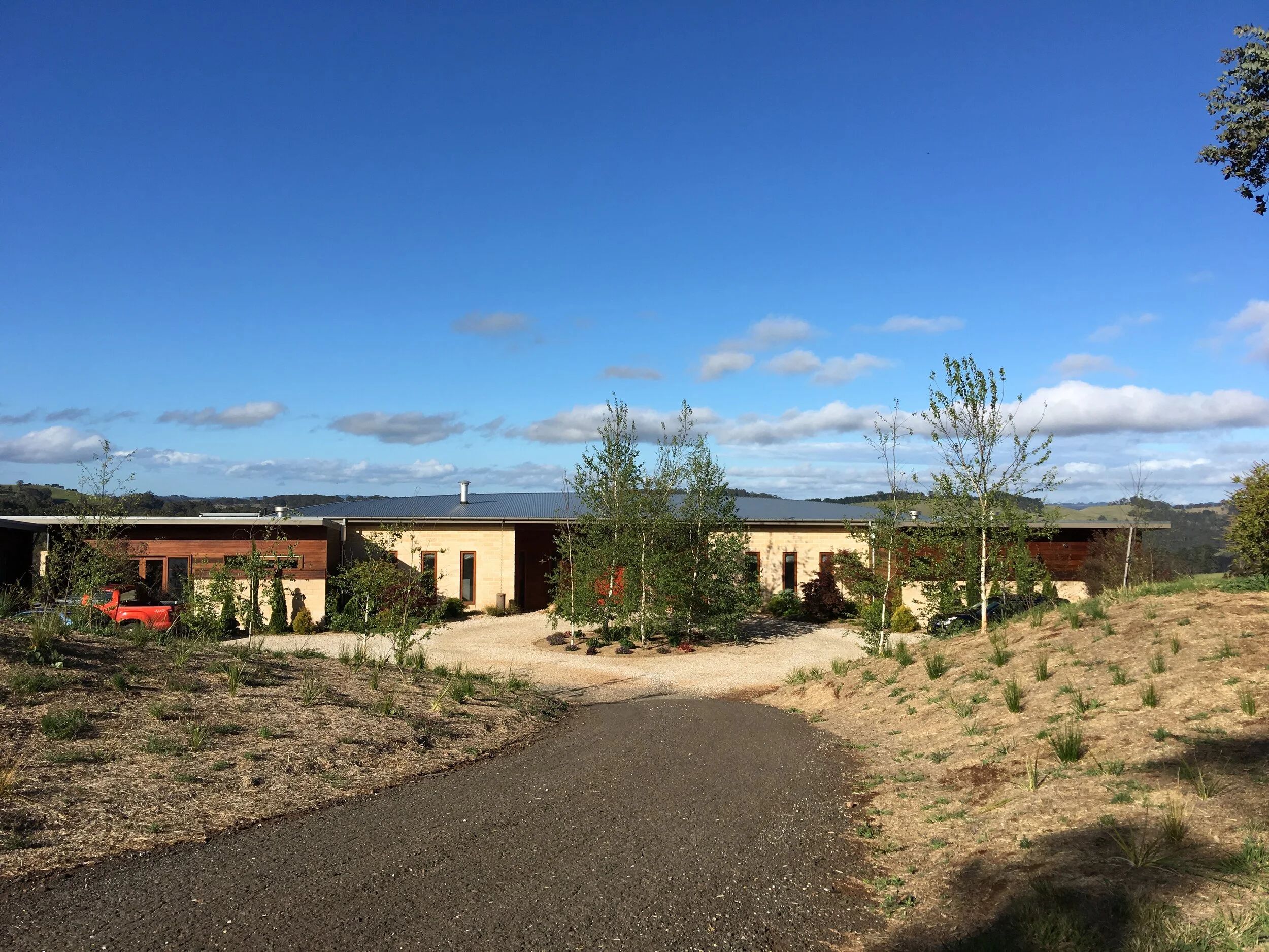 landscaping starting to mature, sliver beech trees to driveway island
