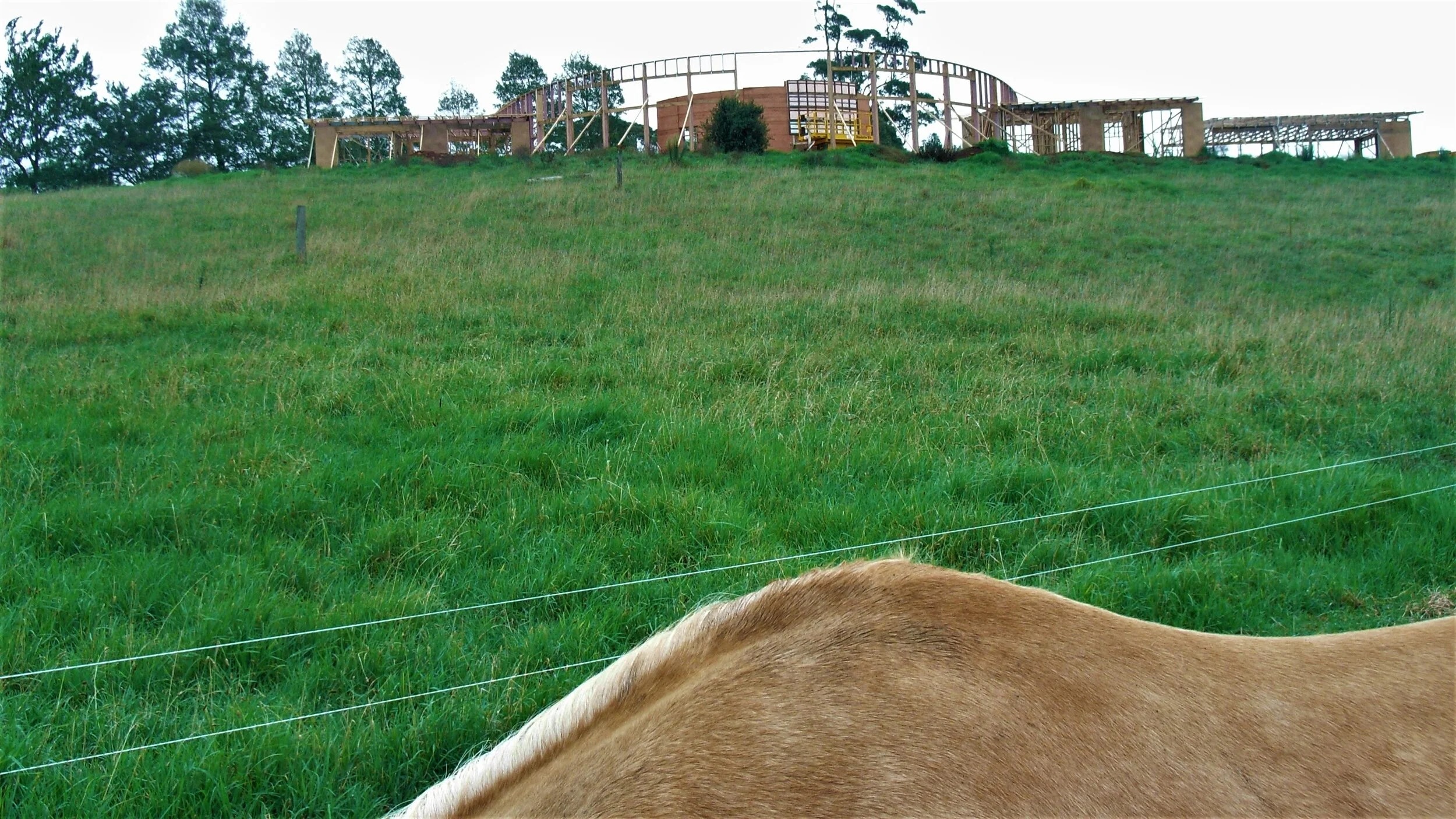 under construction view from horse's paddock