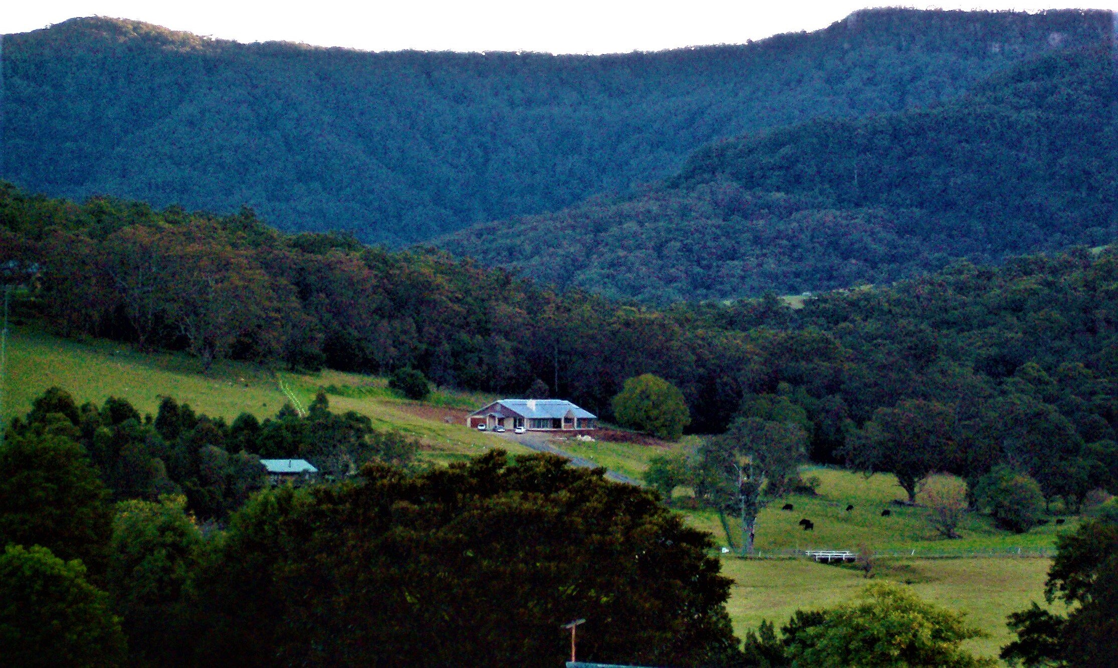 view of house with budderoo national park behind
