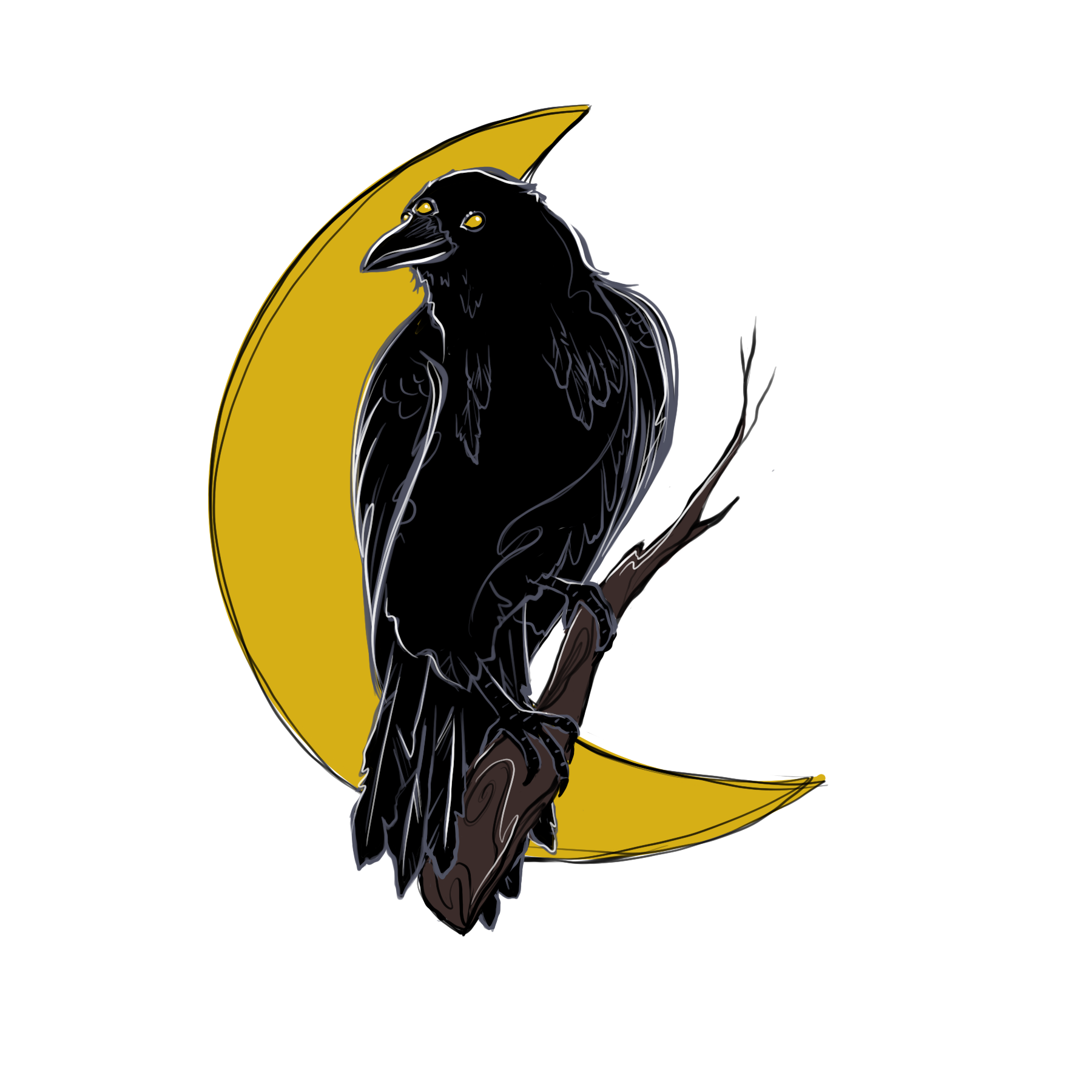 Untitled_Artwork 2.png