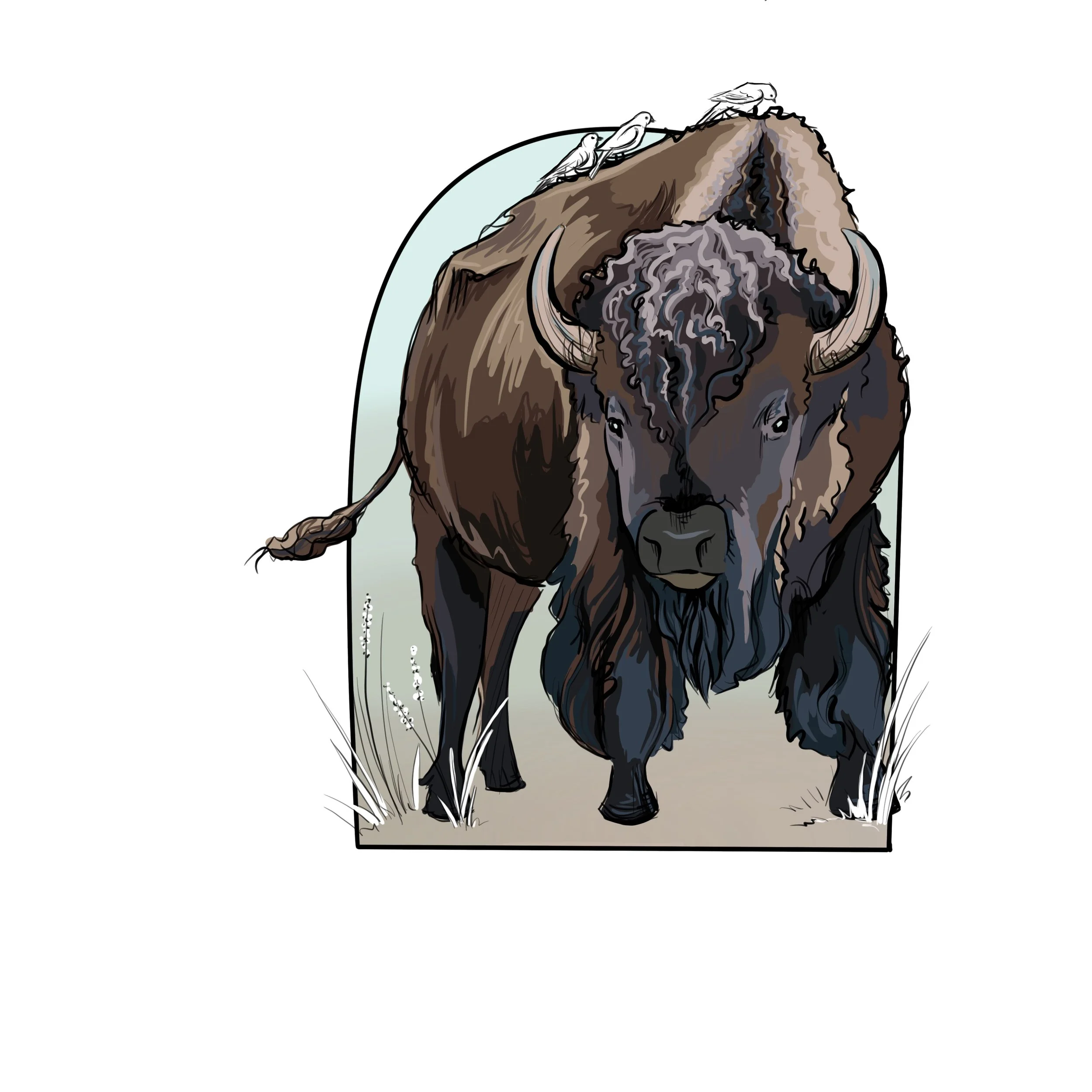 Bison.jpg