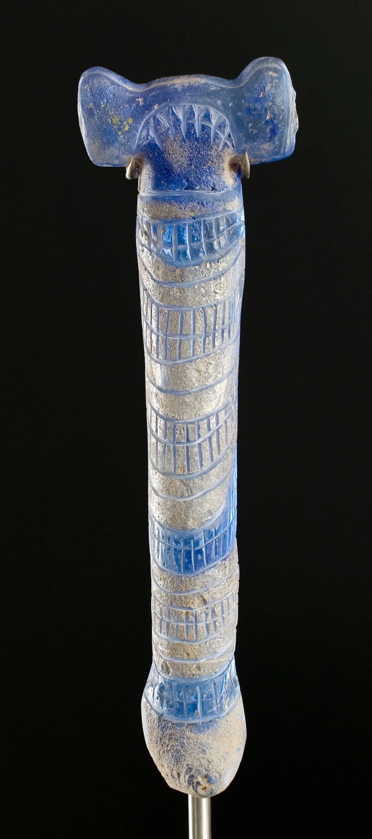 2007 Tiburón con dientes.JPEG