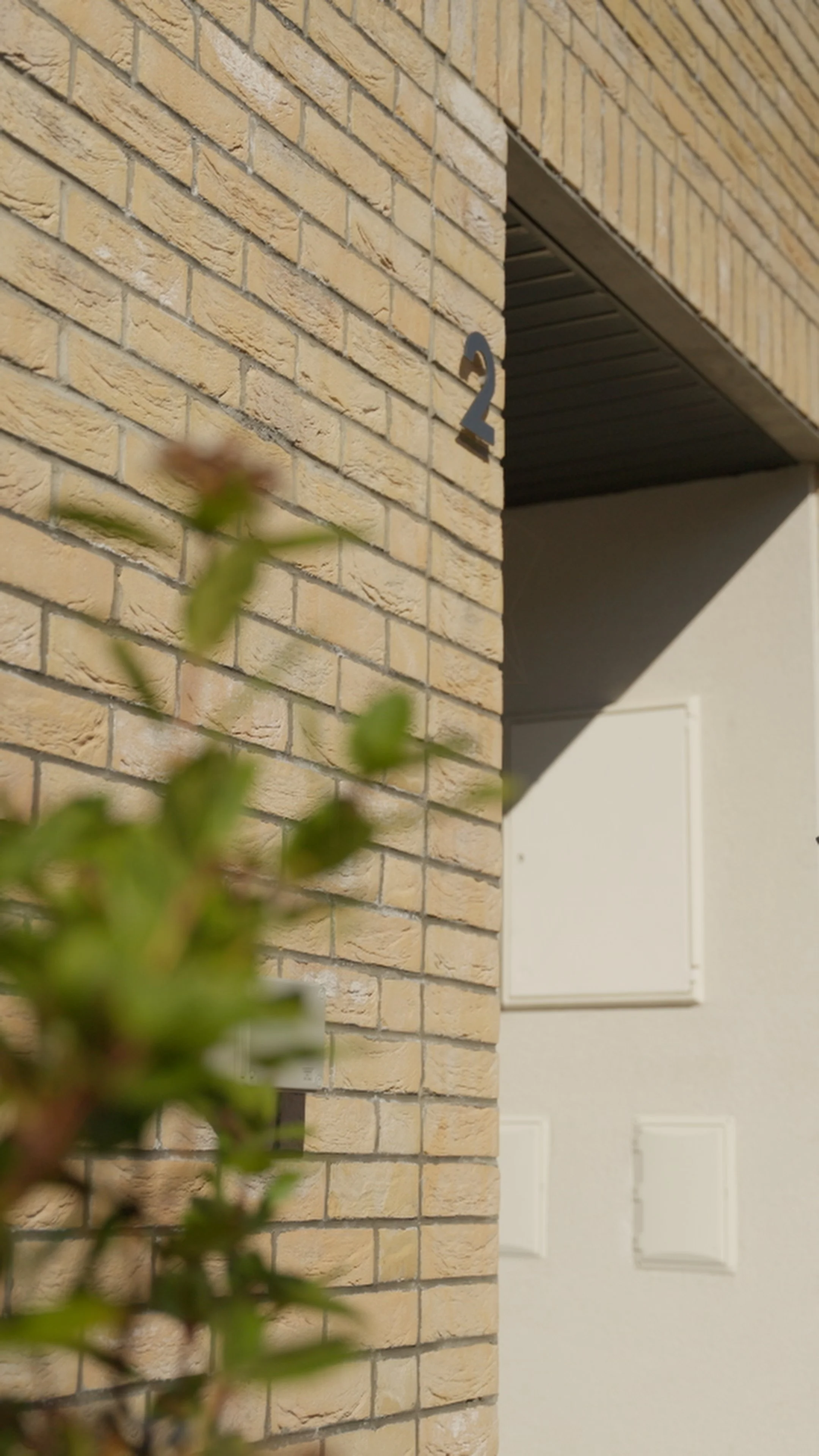 Still 2026-03-25 162606_1.2.1.jpg