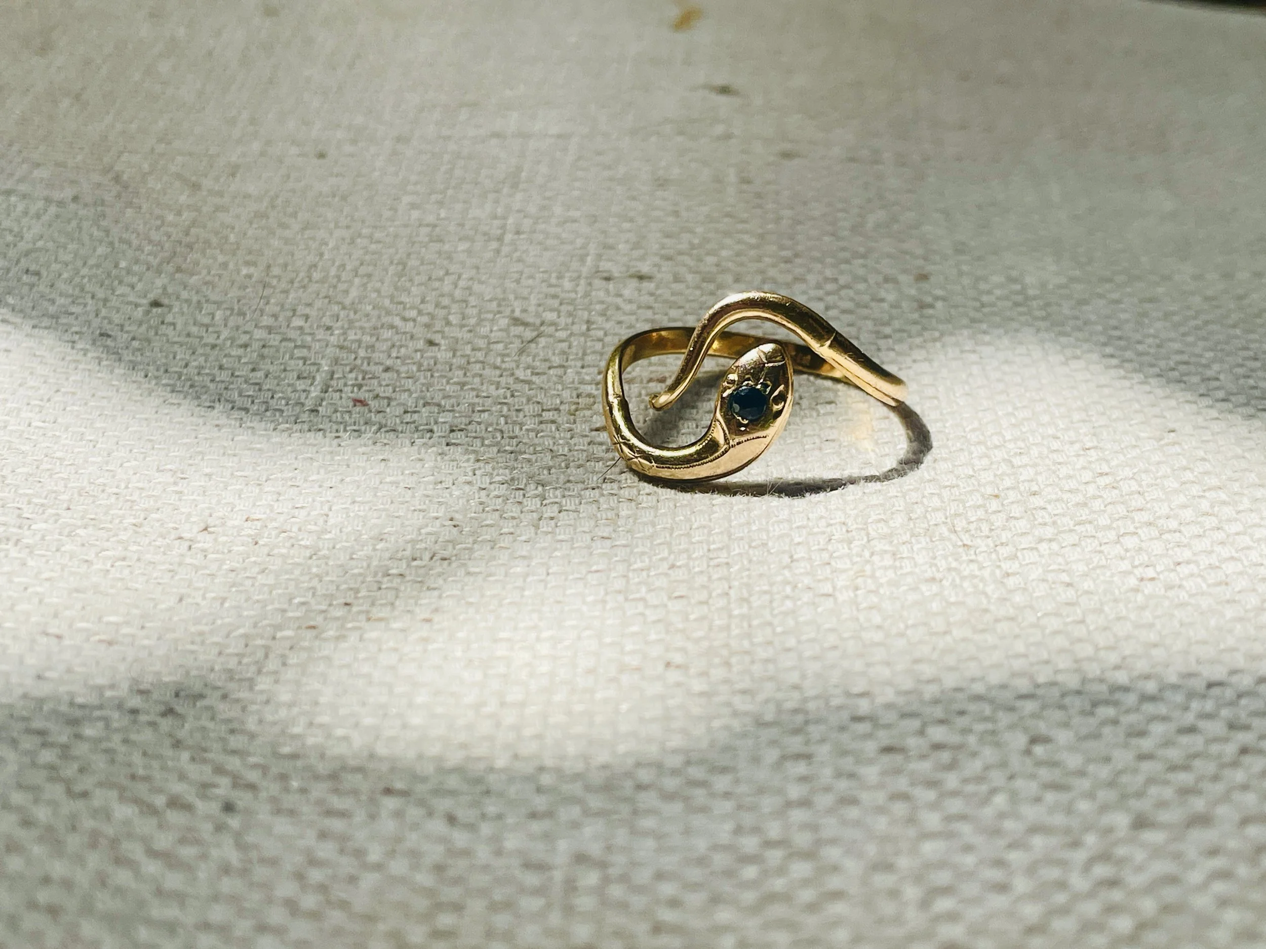 Serpent Sentinel Ring.
