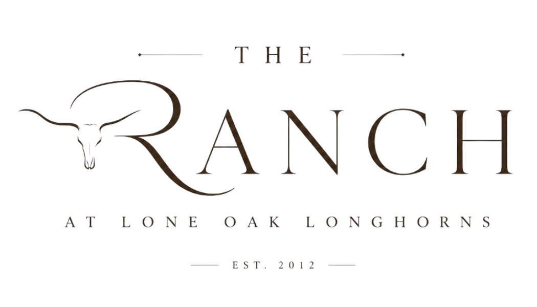 The Ranch at Lone Oak Longhorns