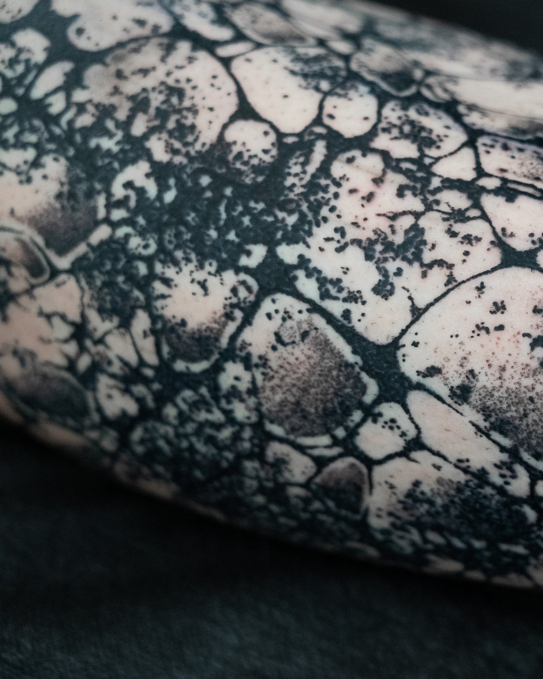 KatieMizuno_BioSplatter_Leg-1.jpg