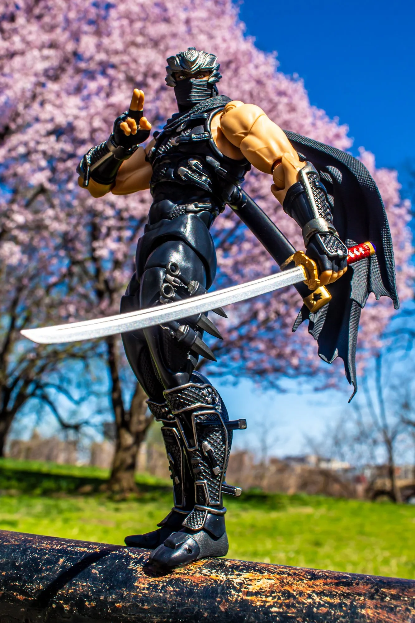 Ryu_Hayabusa__Revoltech_01.jpg
