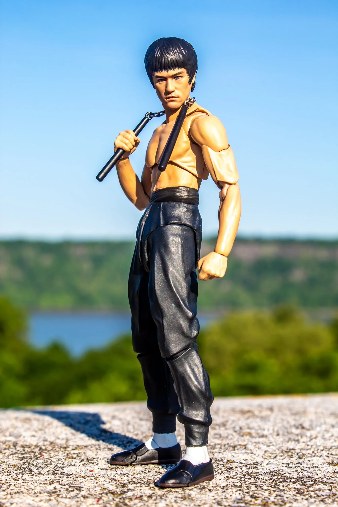 Bruce_Lee_ETD_06.jpg