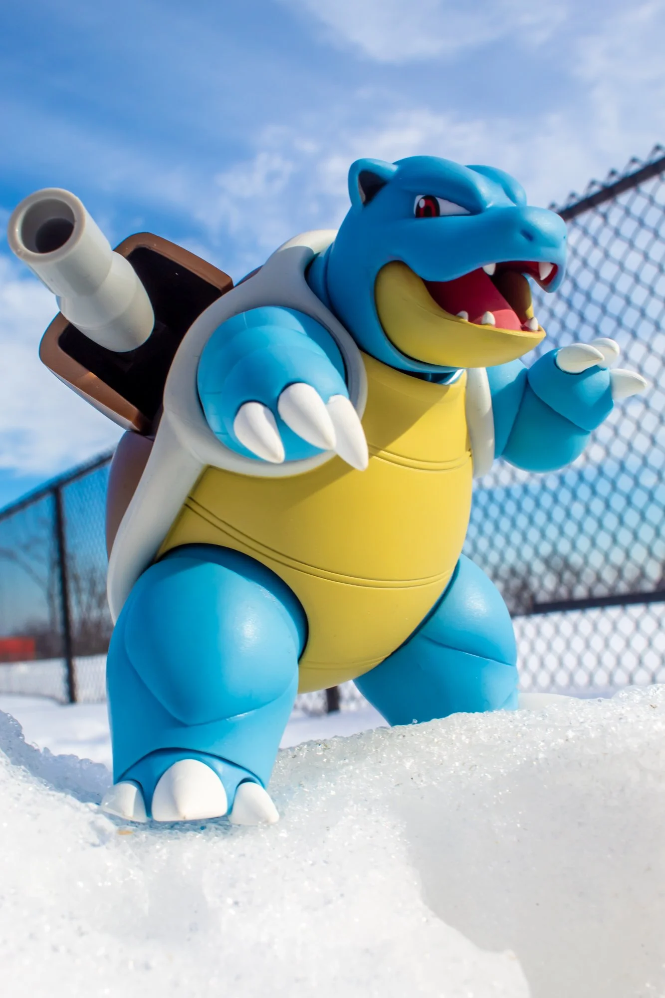 Blastoise_SHF_03.jpg