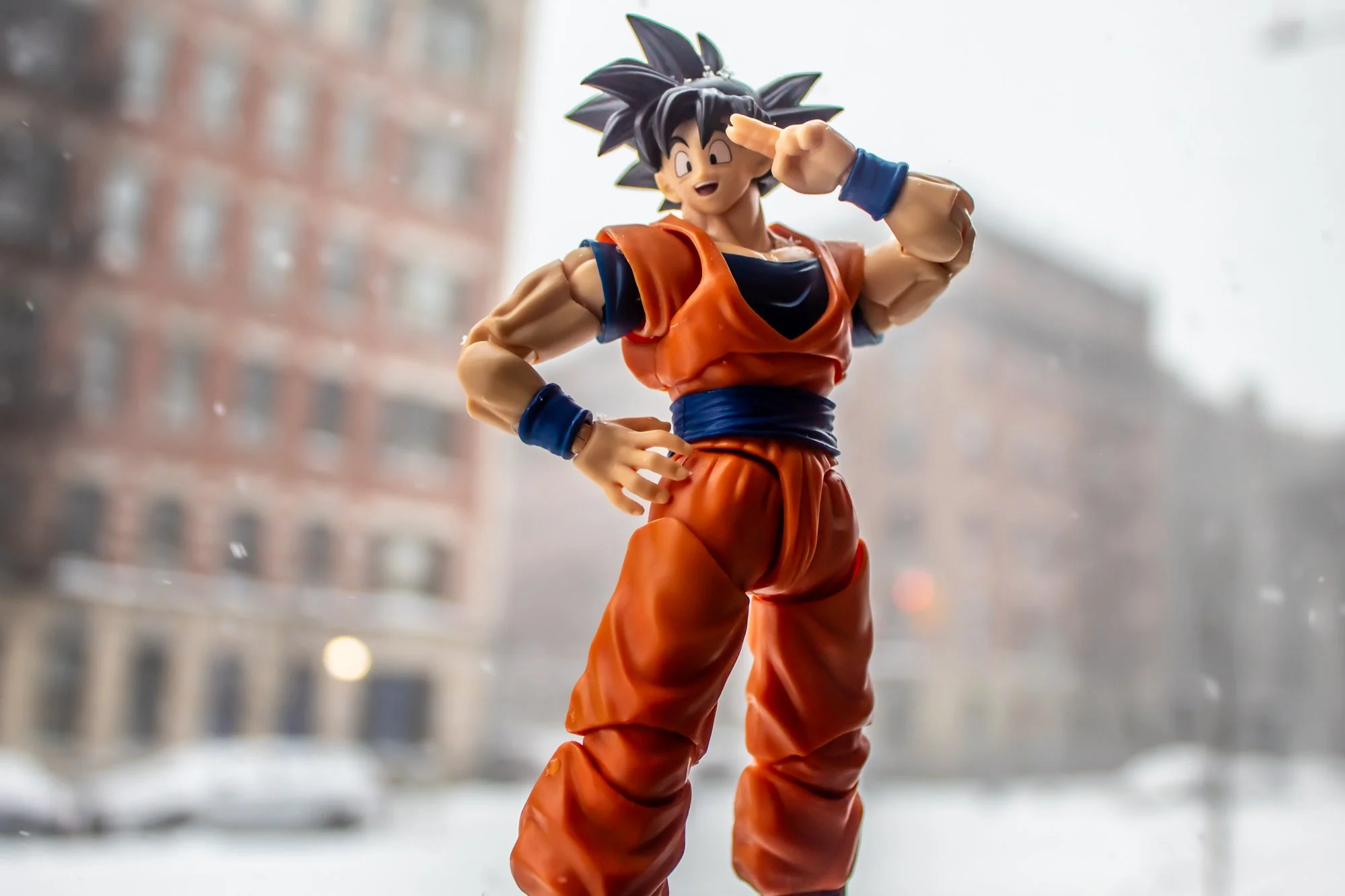 Son_Goku_MAF_DF_06.jpg