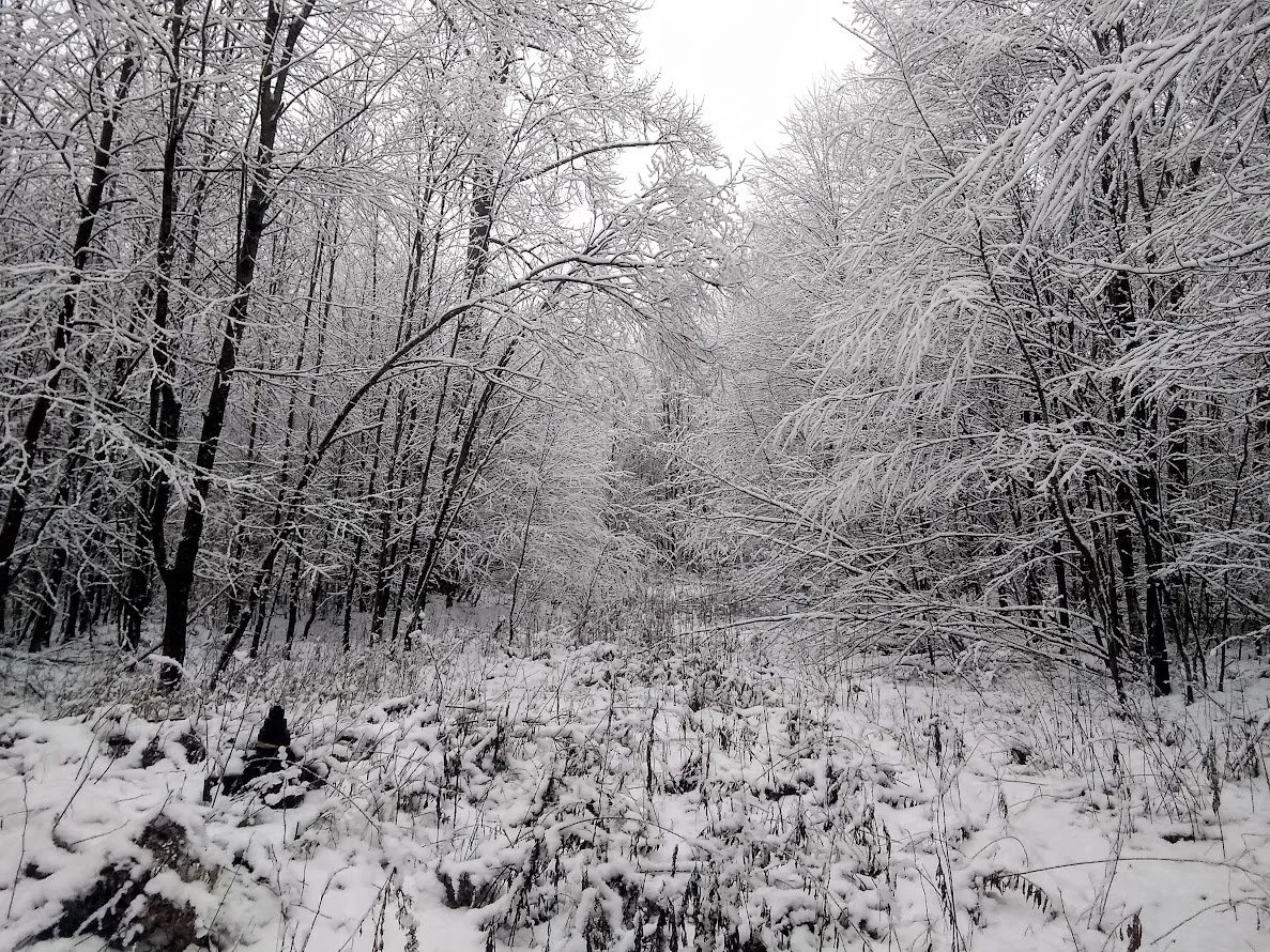 Winter Photo1.jpg