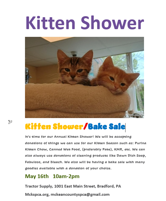 Kitten Shower
