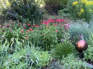 IMG_2504.jpeg