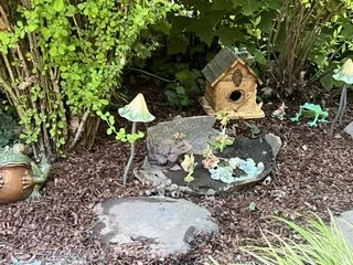 IMG_2536.jpeg