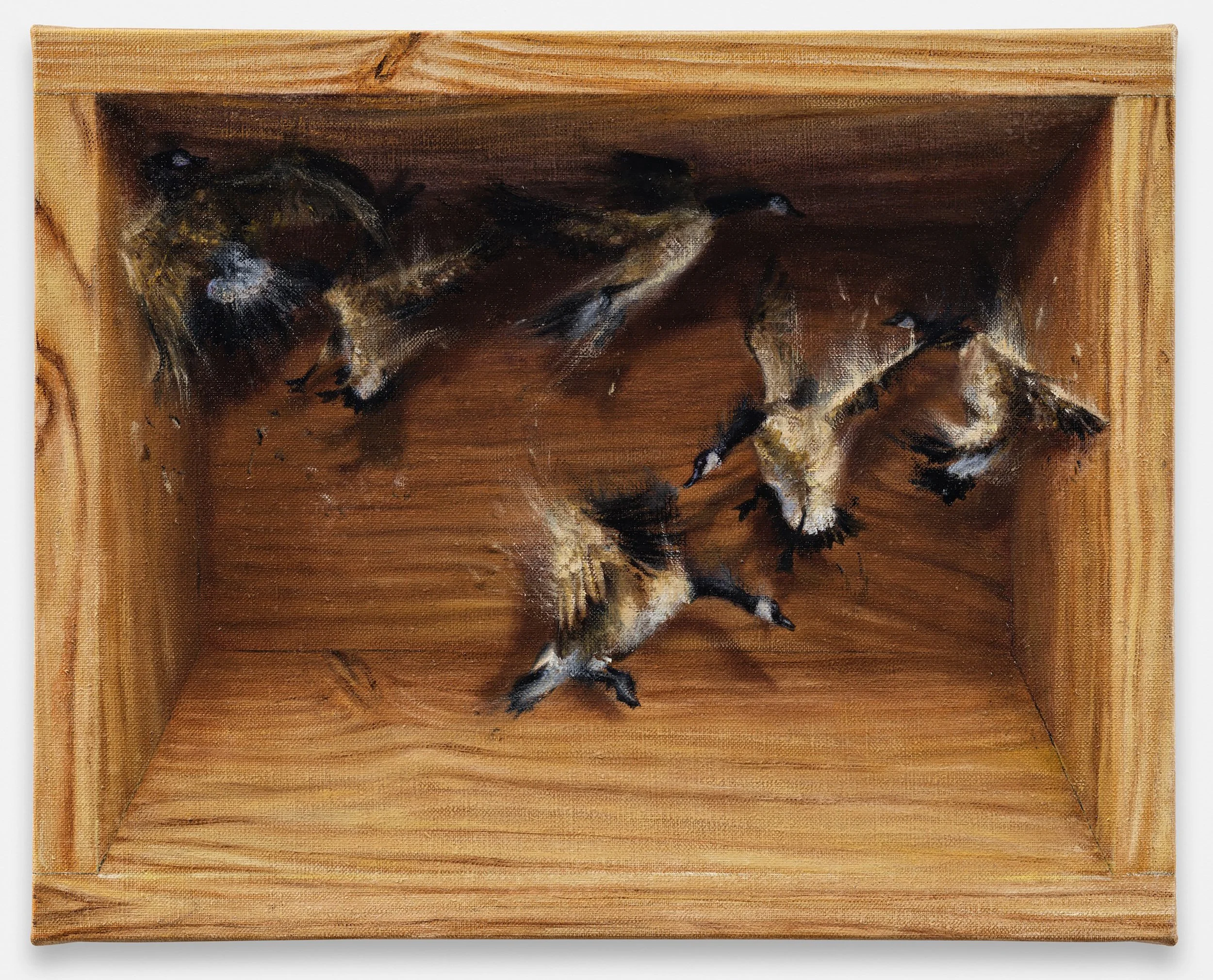 DSCF6747.jpg
