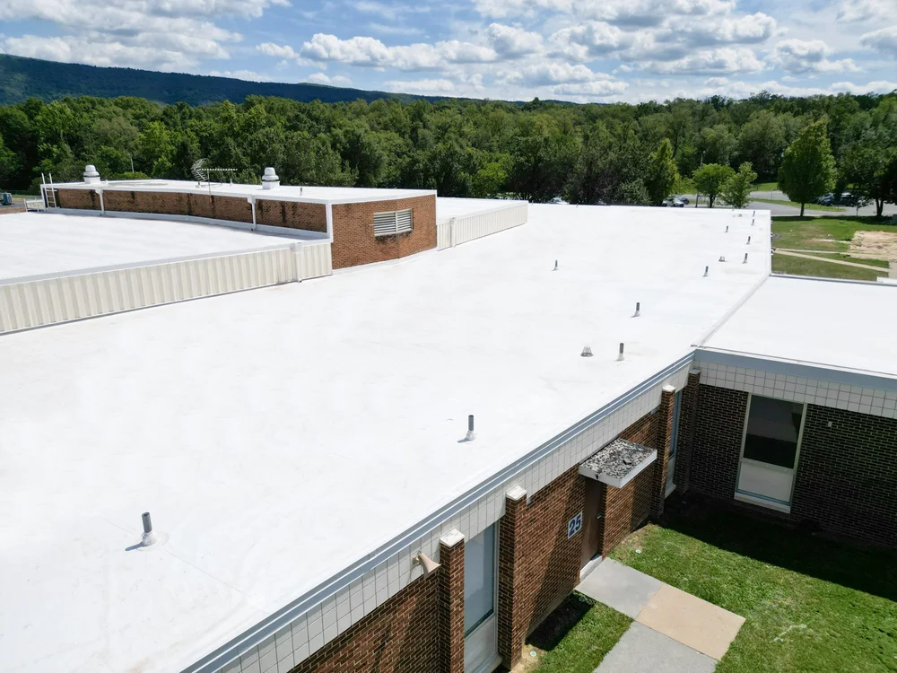 professional roofing services