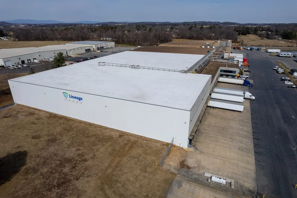 business roof repair lyndhurst