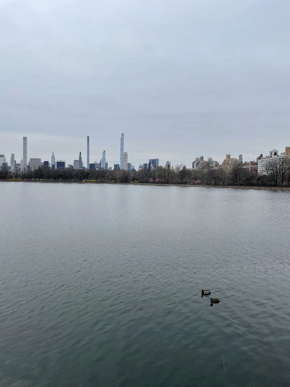 66975082166__AFCAA2BC-C6CD-46C9-A771-00956D00B25E.fullsizerender Large.jpeg