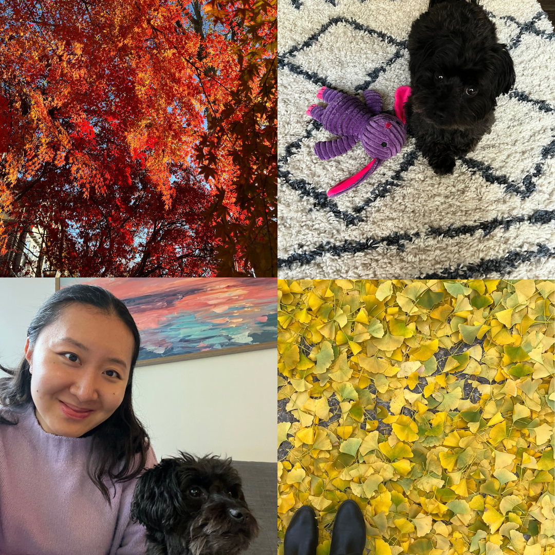 Copy of Untitled.zip - 3.PNG