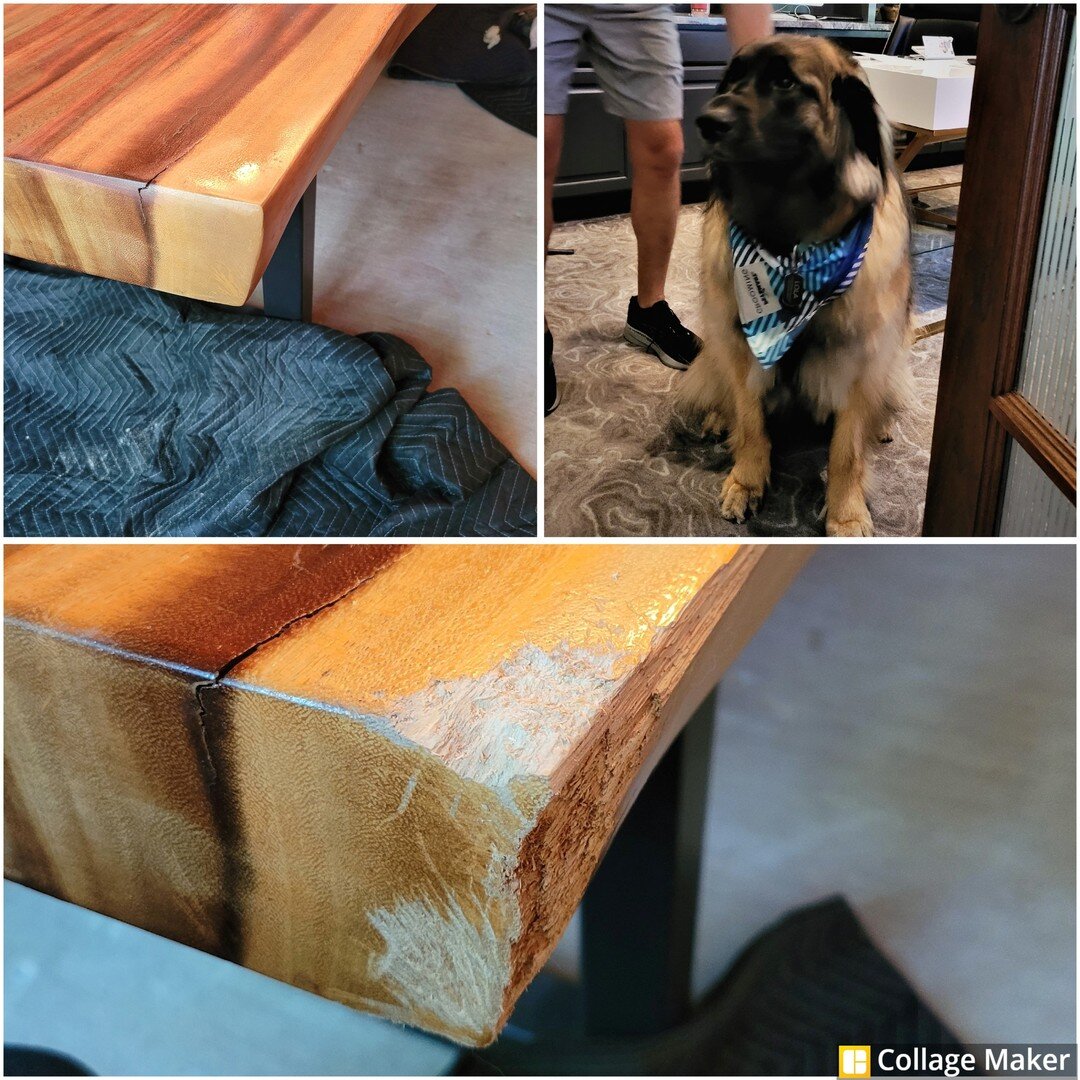 Lo-lo-lo la, Lola!  This beautiful girl was once a puppy and boy did she like to chew!  This was one of many chew repairs we completed for this dear sweet girl and her human.

#woodrepair #woodrepairaustin #finewoodrepair  #furniturerepair #furniture