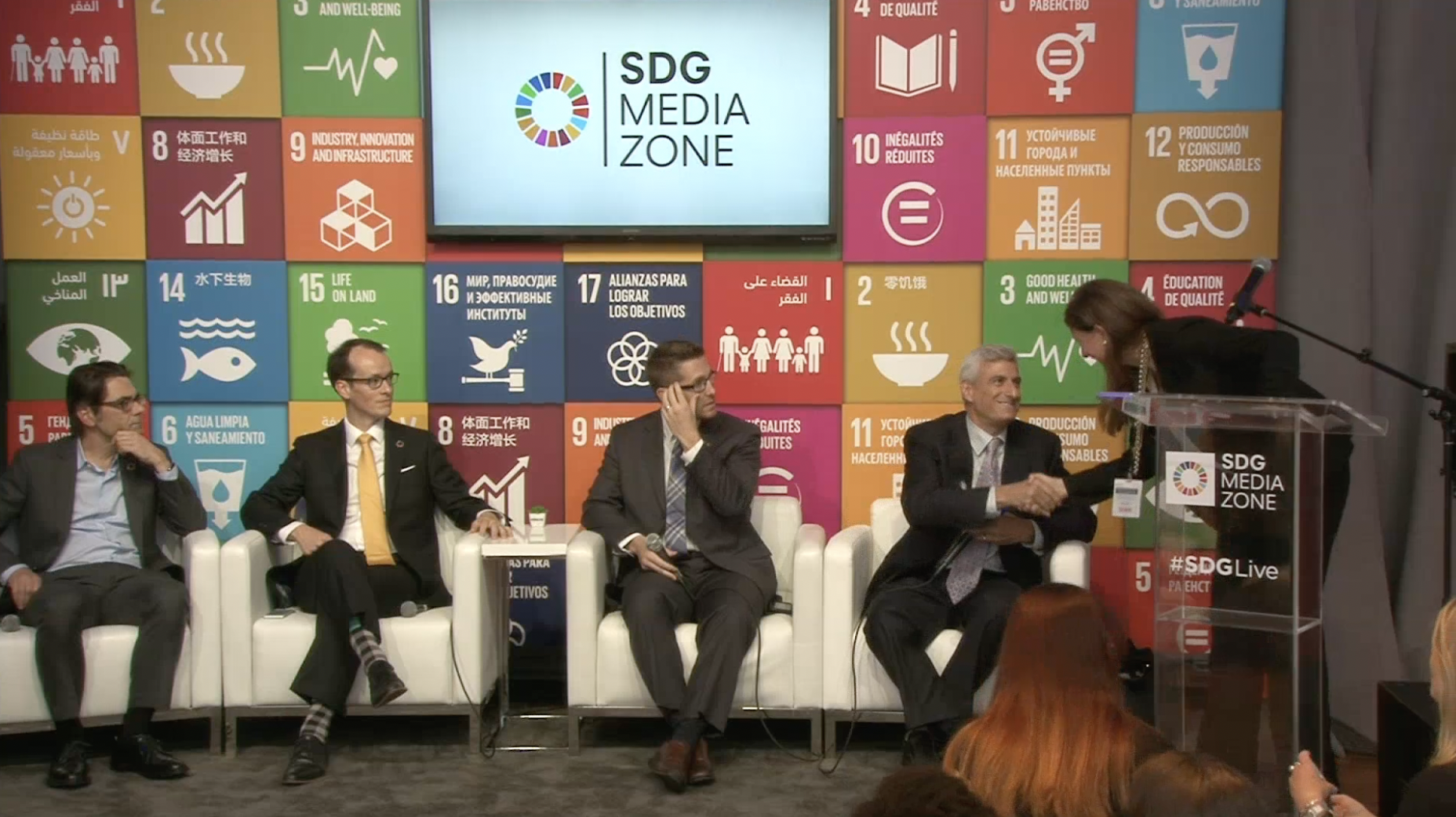 SDG Media Panel image.png
