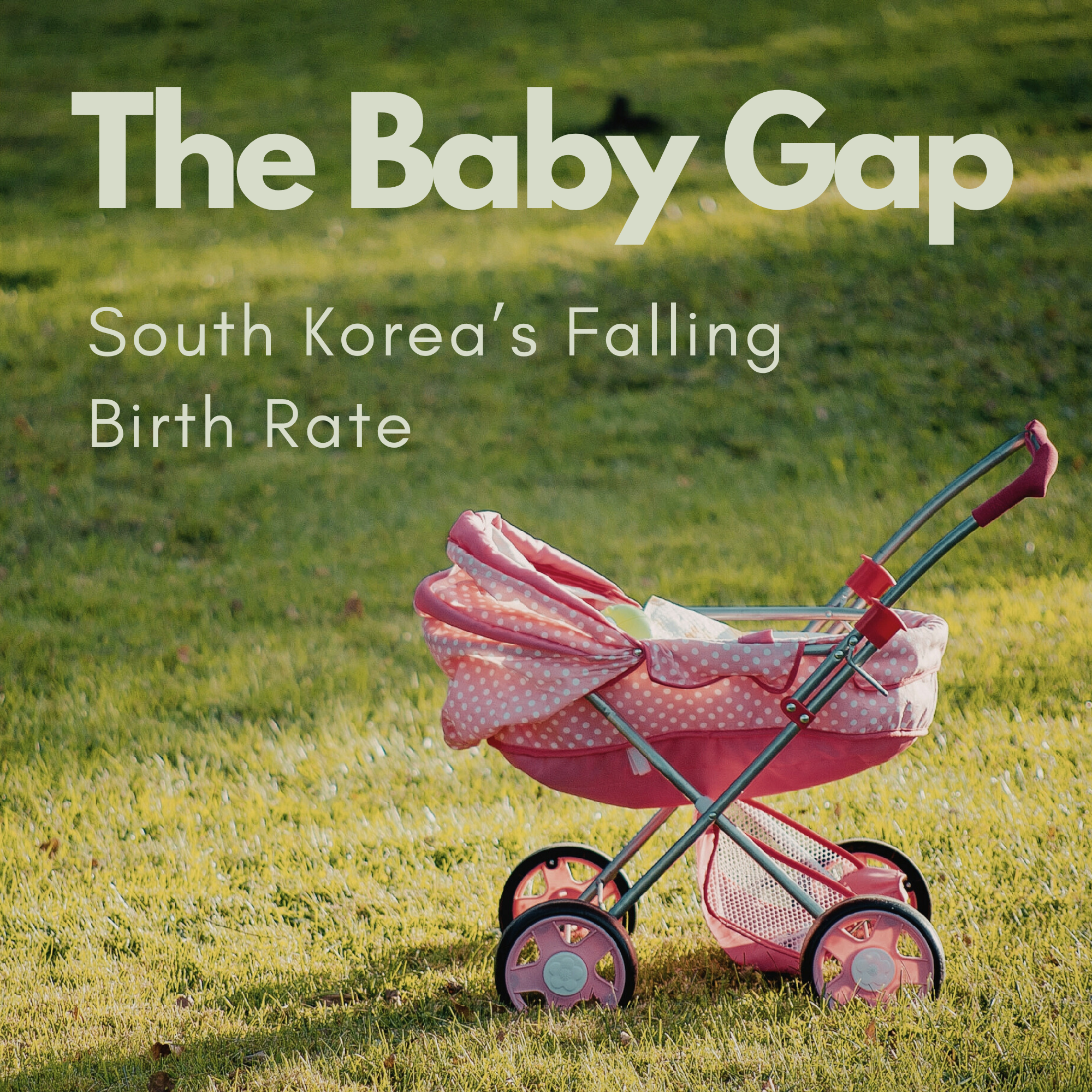The Baby Gap: South Korea’s Falling Birth Rate