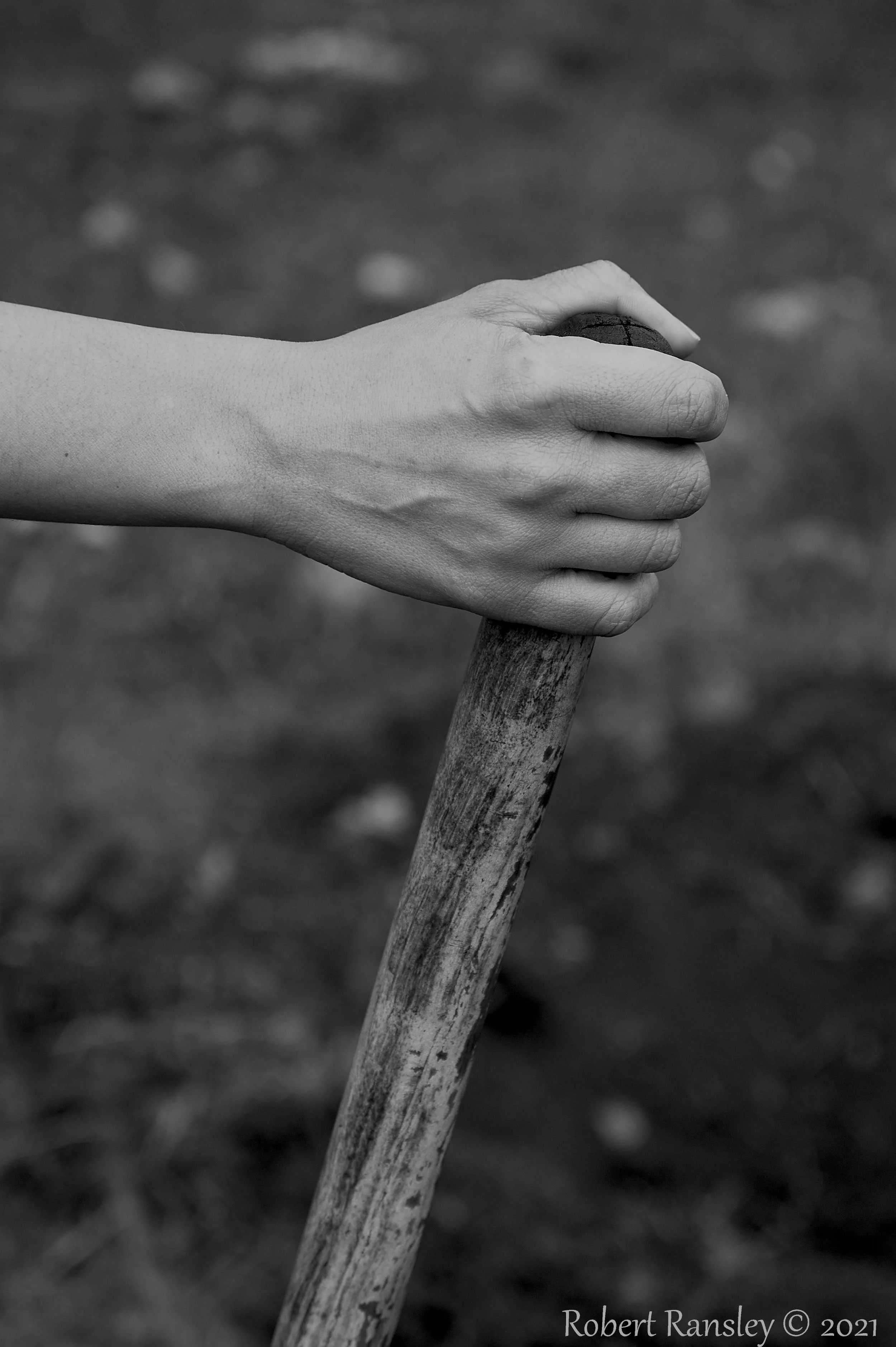 tree planting hand hoe.jpg