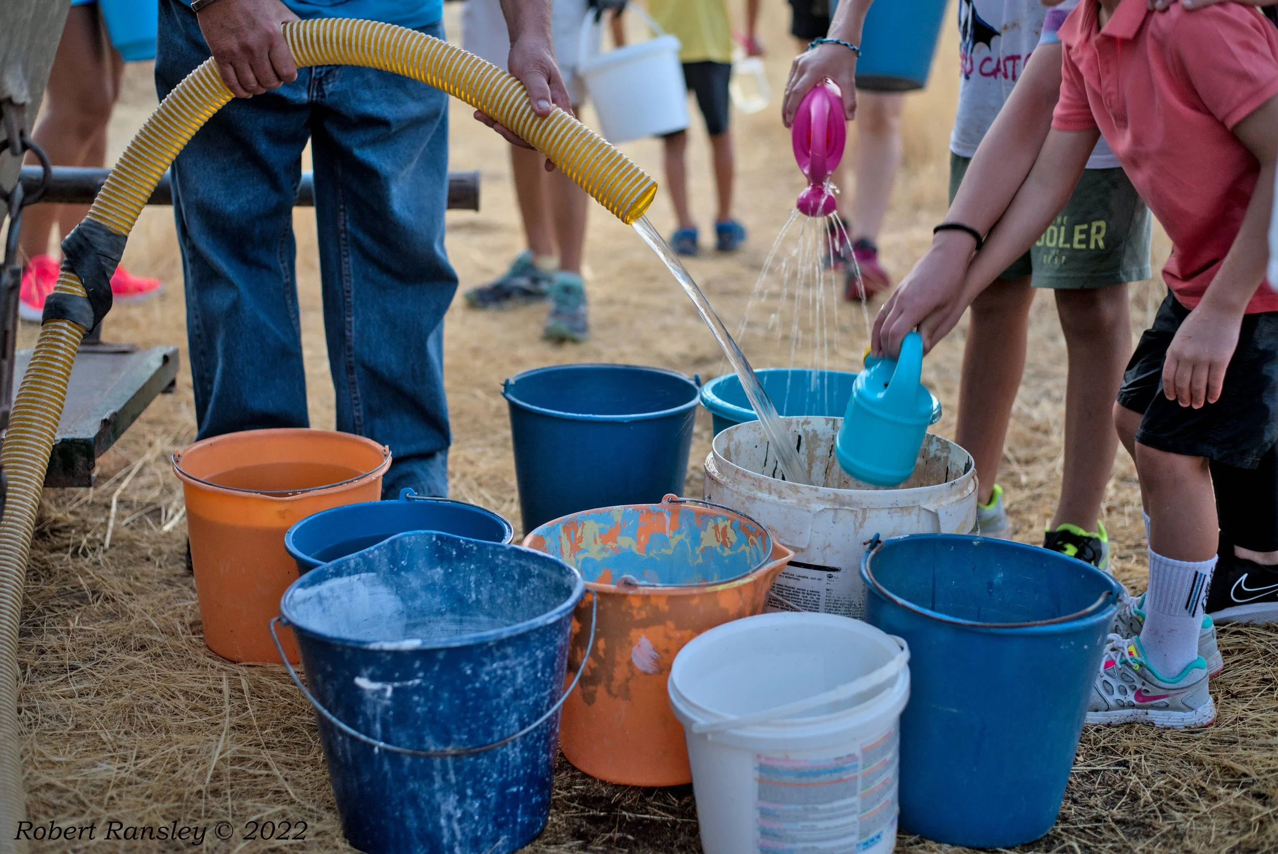 2022-08-28 TREE WATERING (103).jpg
