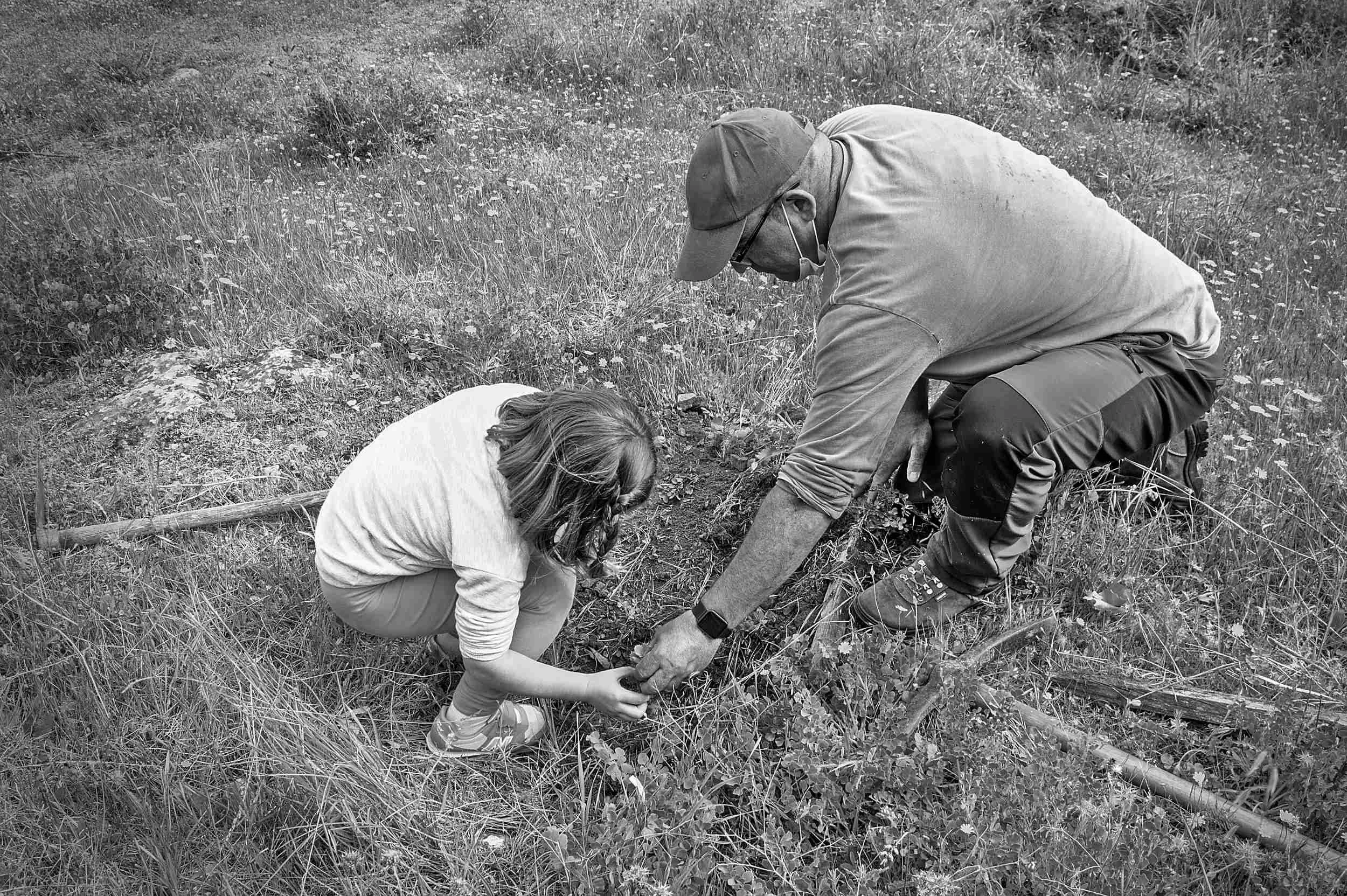 tree planting curro carmen.jpg