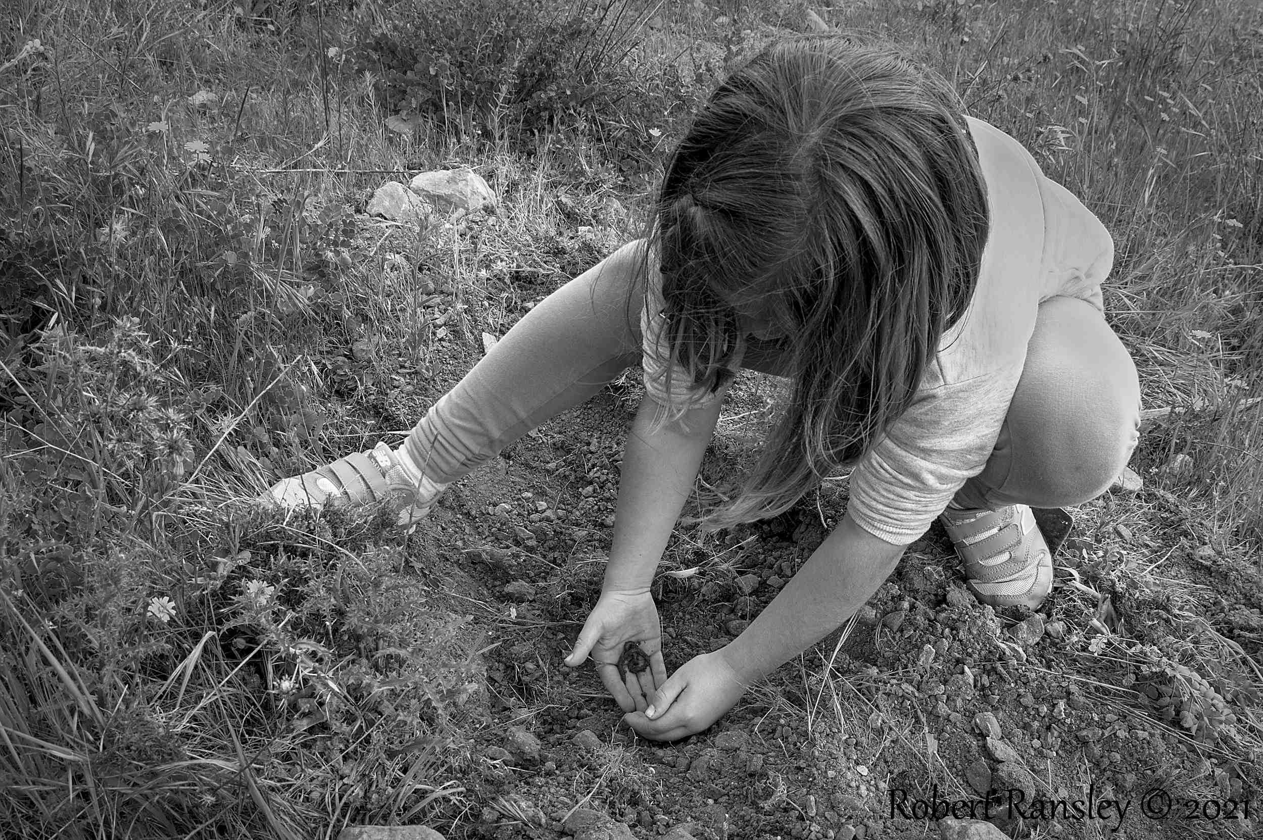 tree planting worm carmen.jpg