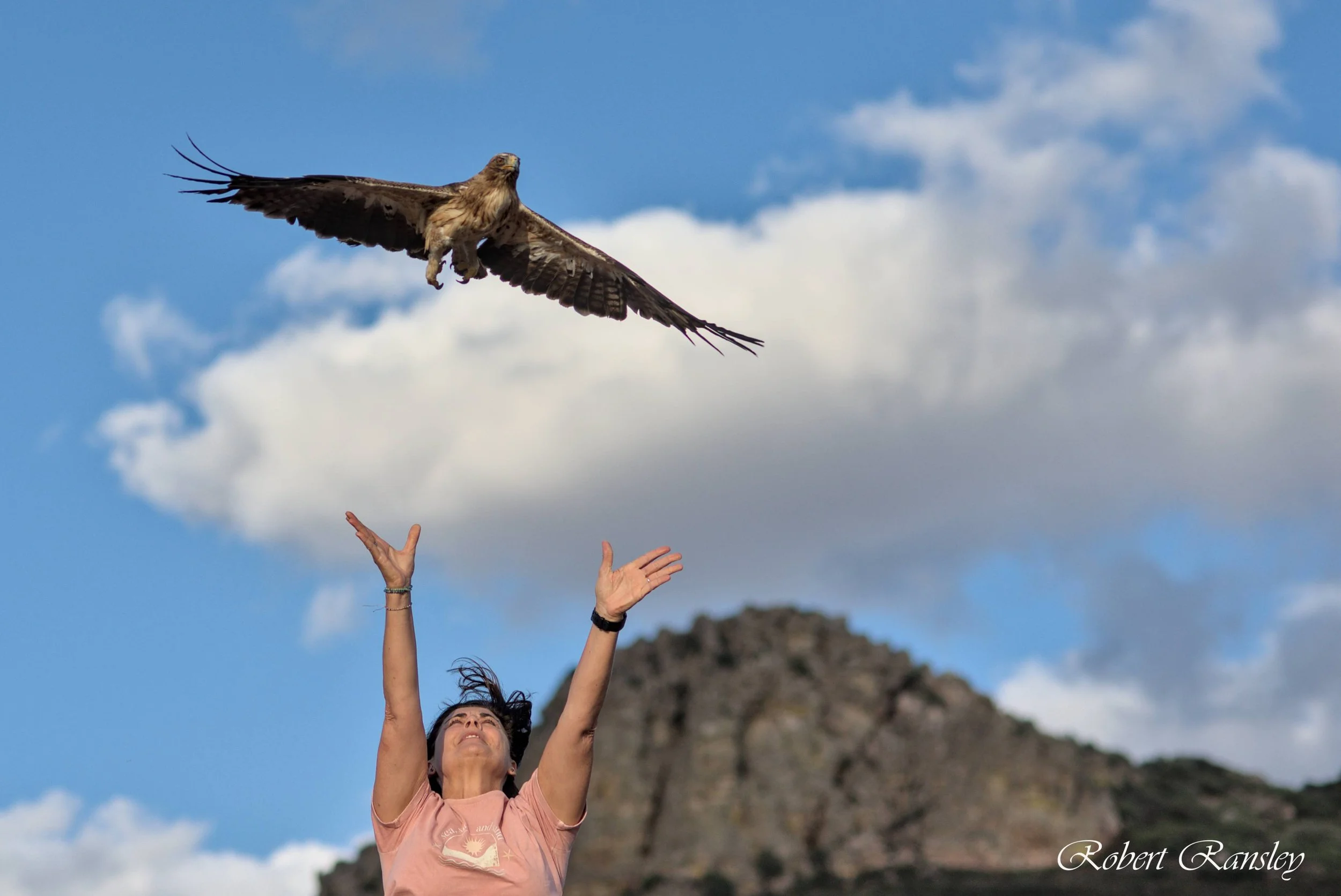 ransley photography AMUS bird release suelta aves (27).jpg