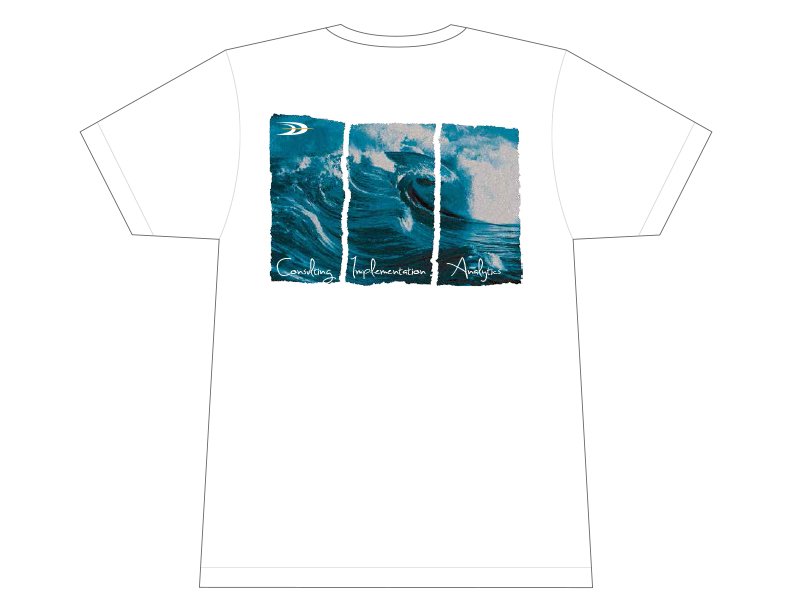 DL_Wave_Tshirt2013-2.jpg