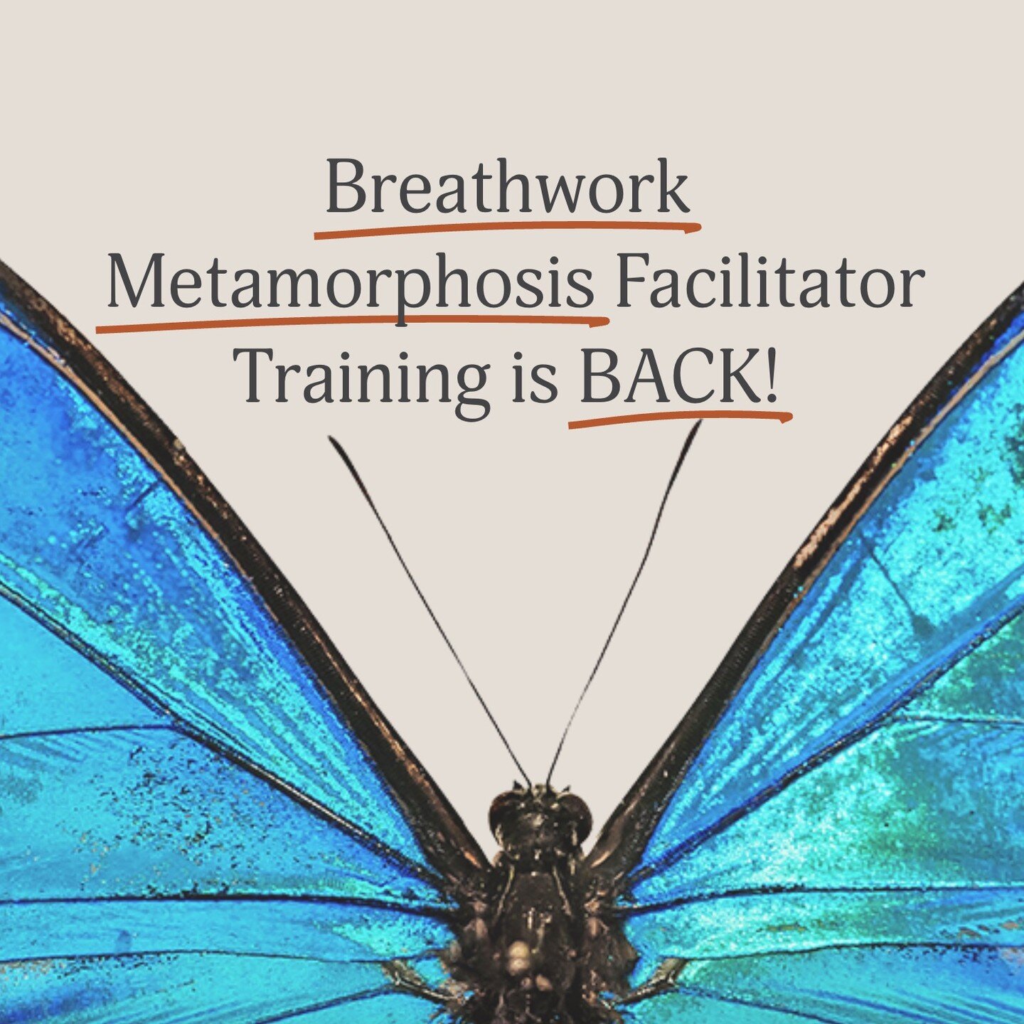 I am excited to announce another Breahtwork Metamorphosis Training program starting in September.
Not only do you learn how to hold space for others to tap into and release the old stories, beliefs and behaviors, you also hold the vision as they step