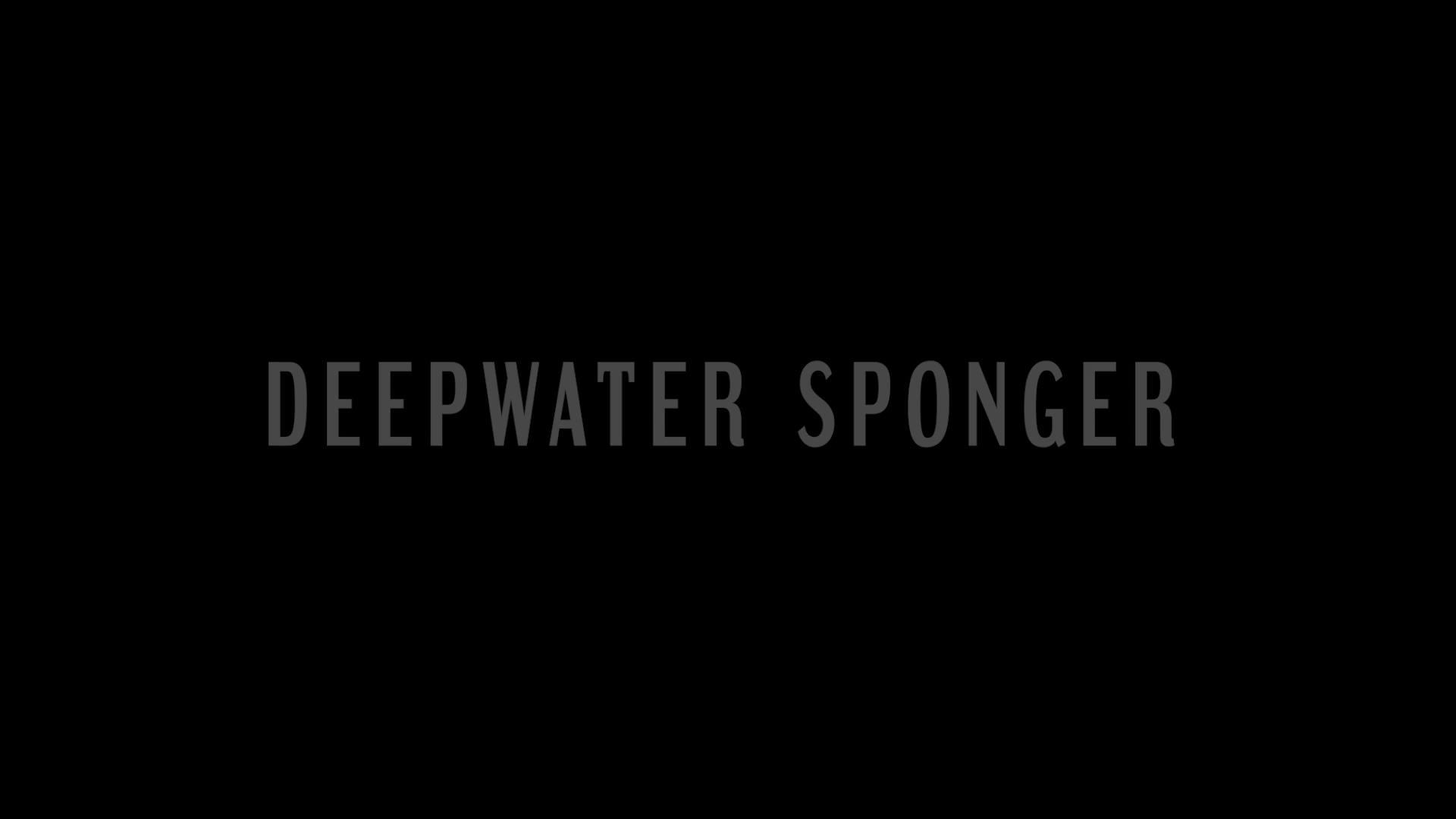 Deepwater Sponger