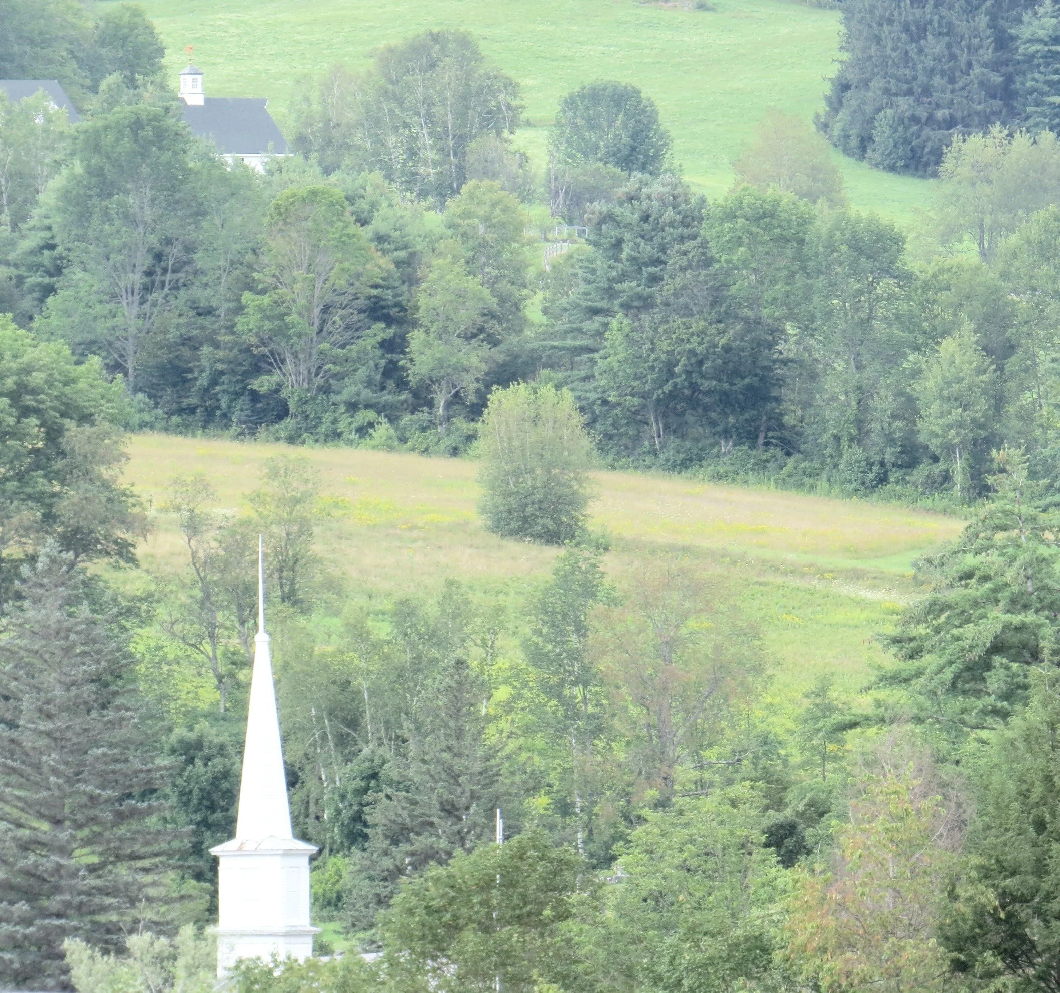 IMG_7625 copy.jpg