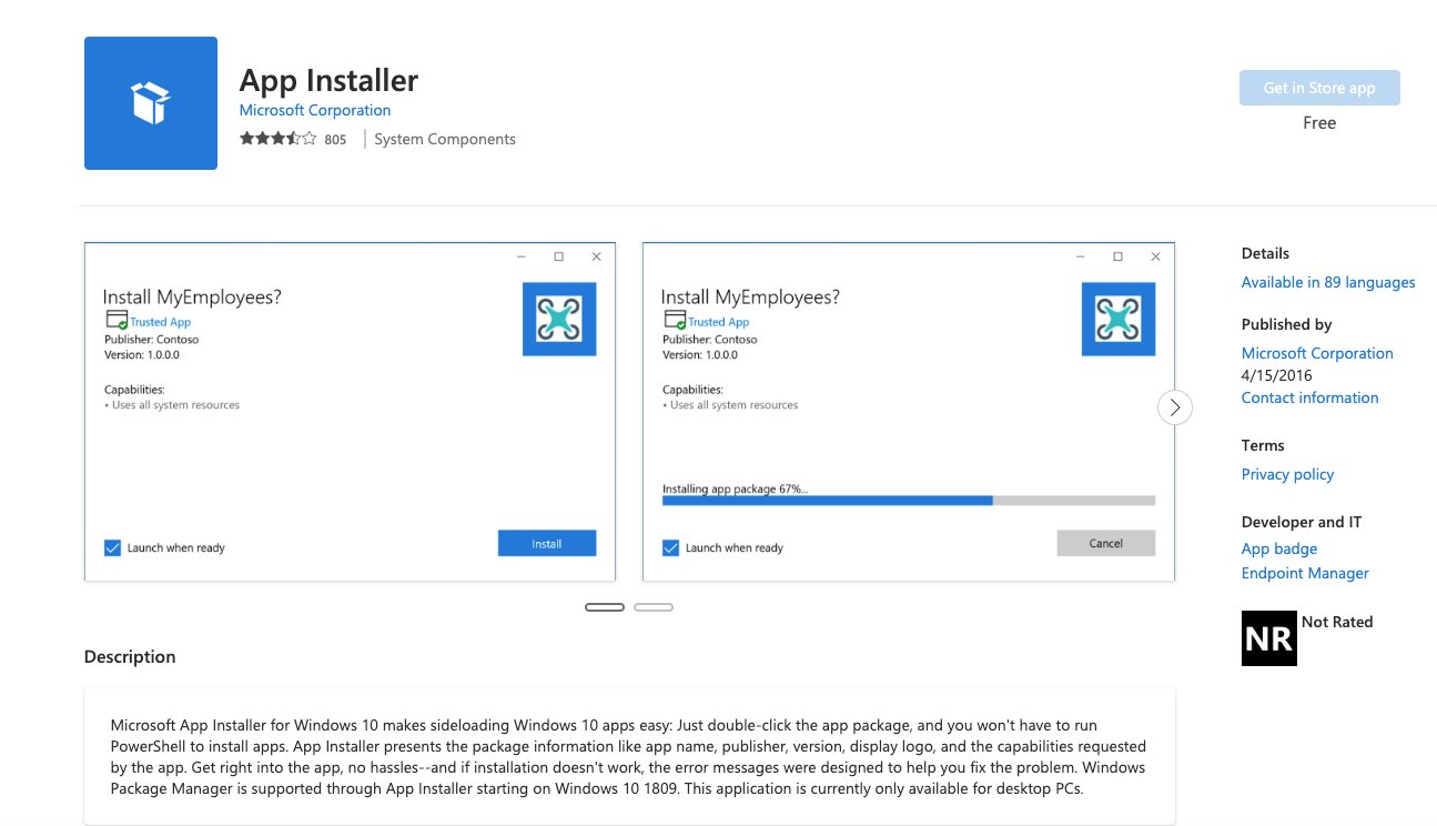 How to Install MSIXBundles on Windows 10 & 11