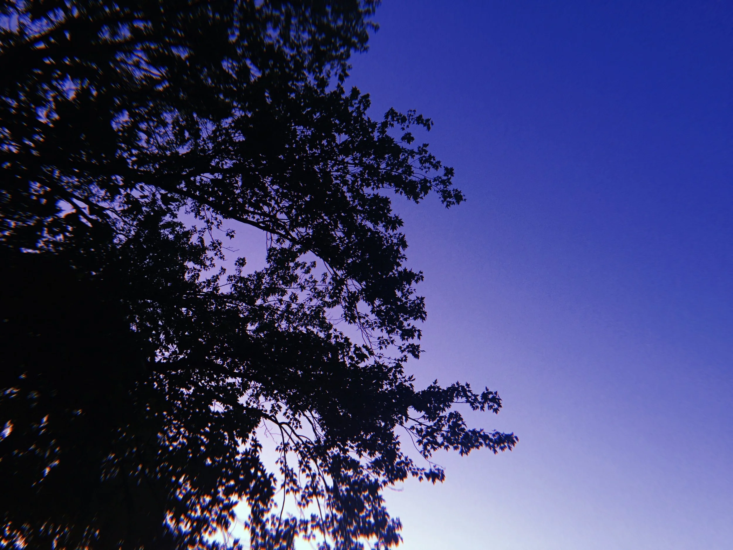 Day 10: Being in love again