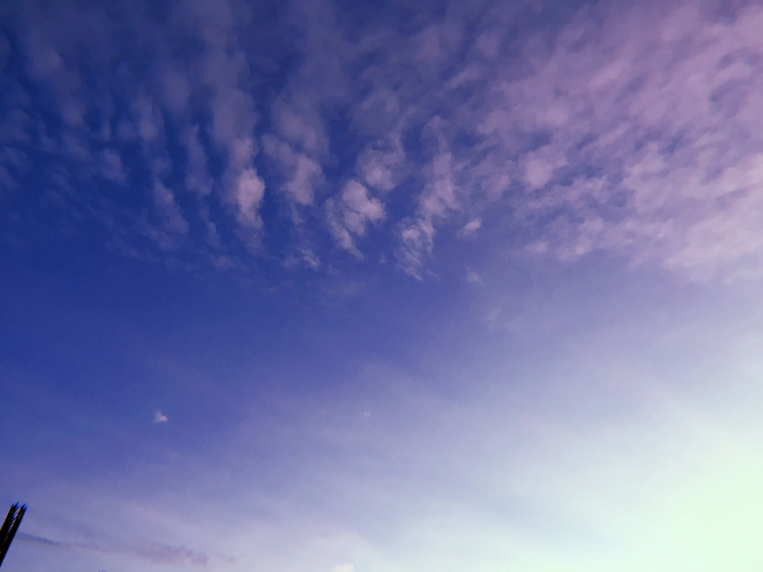 2019-09-08 06-55-38.190_300dpi.jpg