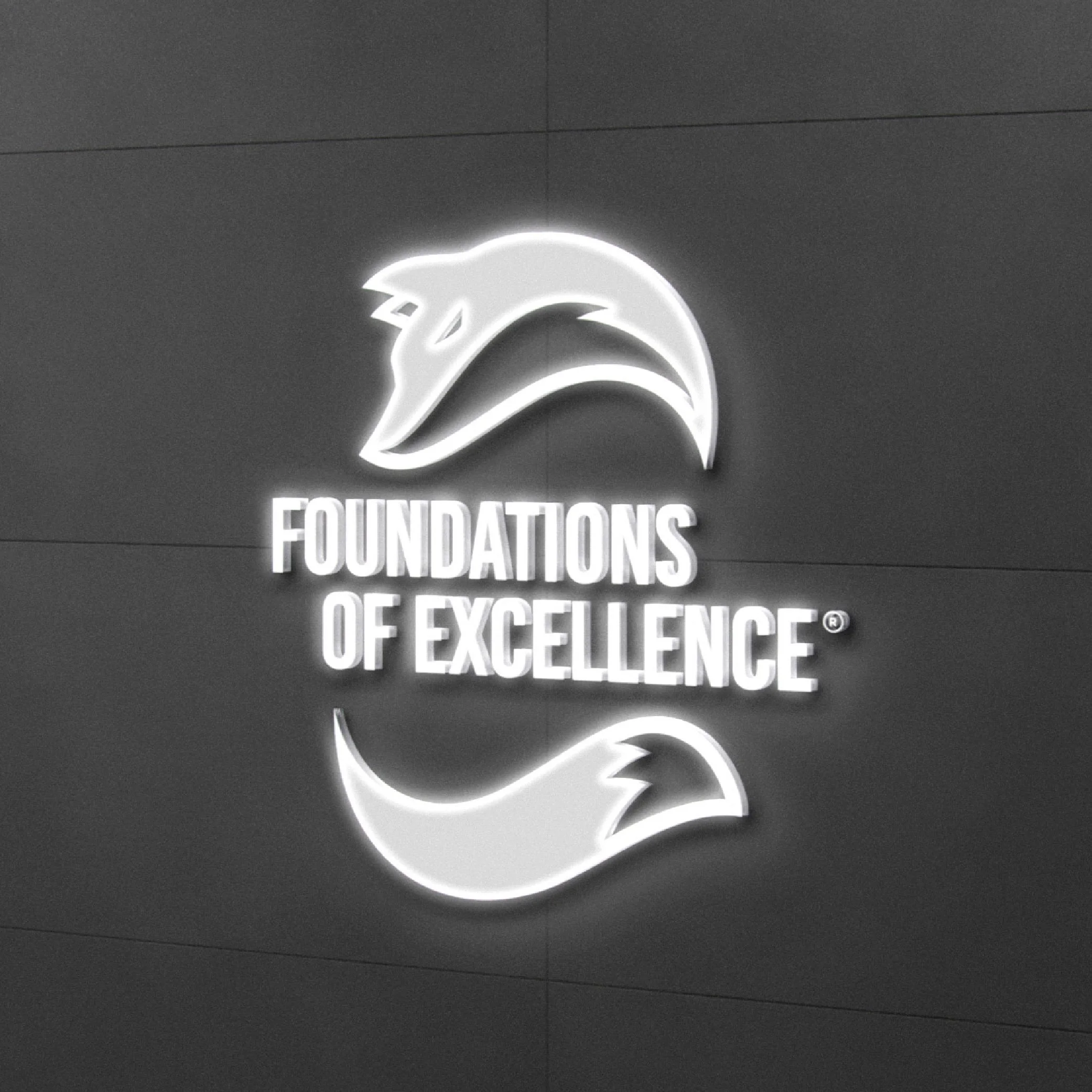 Foundations of Excellence_Mockups [Recovered]-03.jpg
