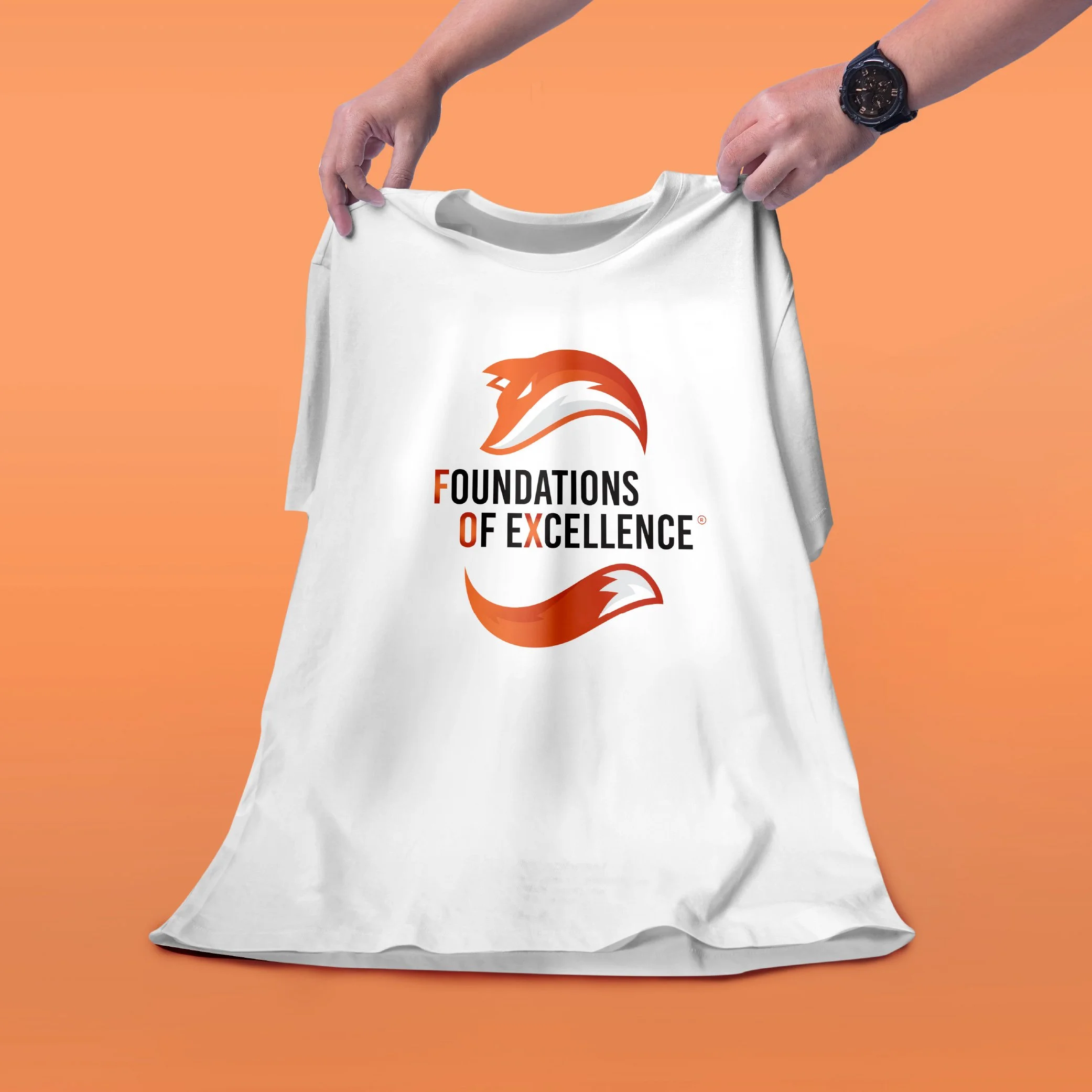 Foundations of Excellence_Mockups [Recovered]-07.jpg