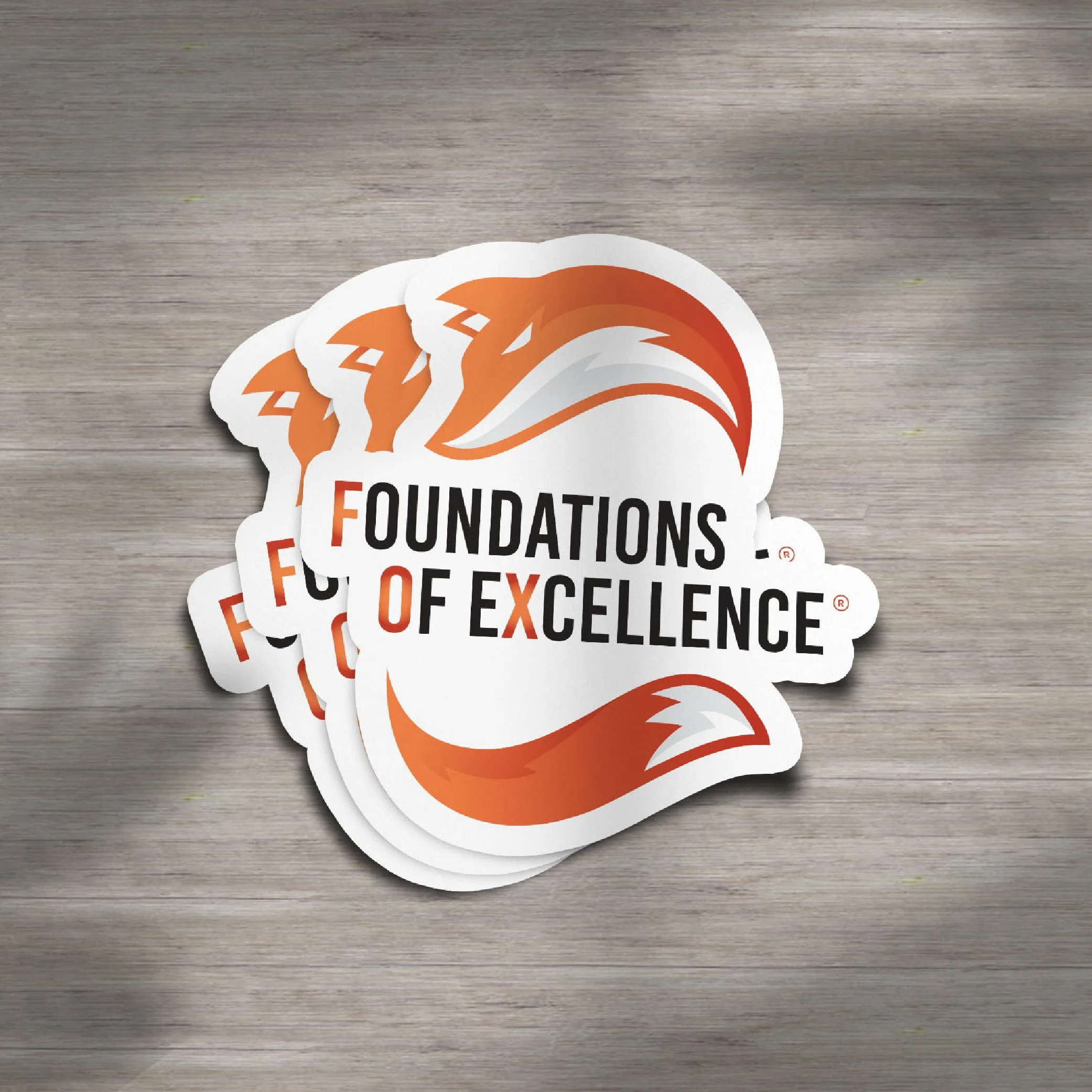 Foundations of Excellence_Mockups [Recovered]-08.jpg