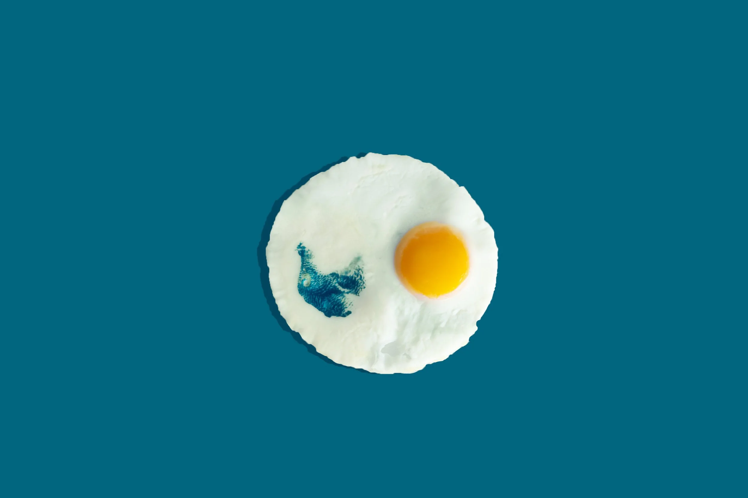 eggs-1.jpg