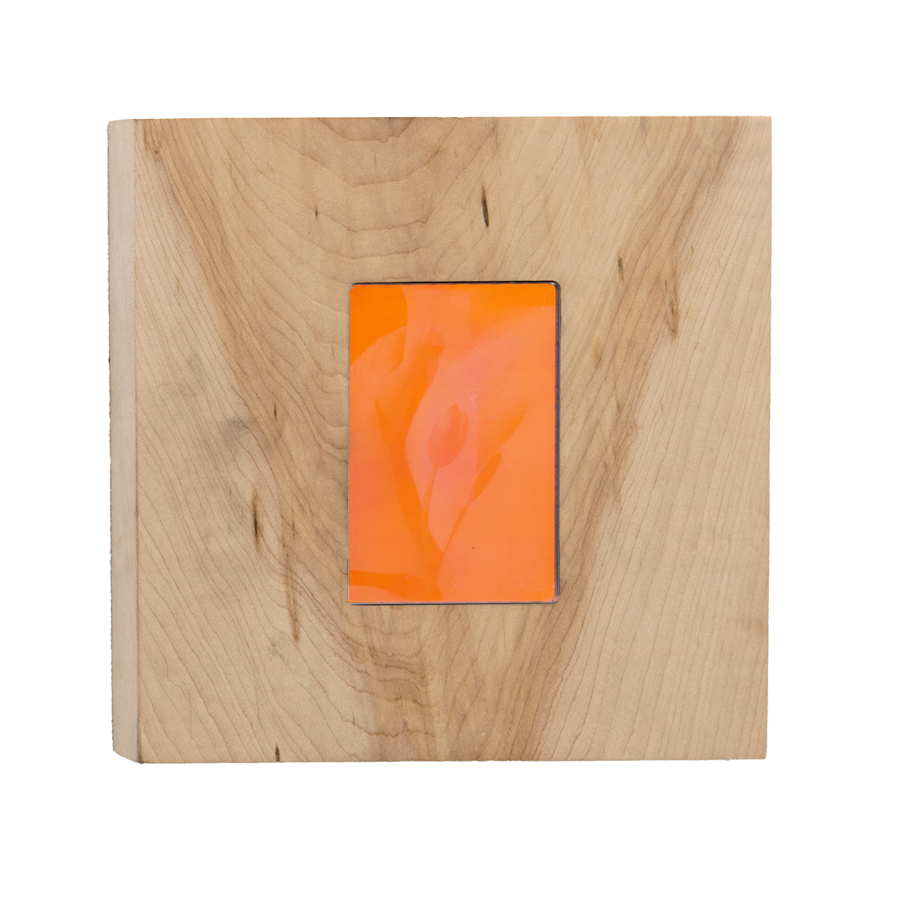 untitled self portrait with tulip