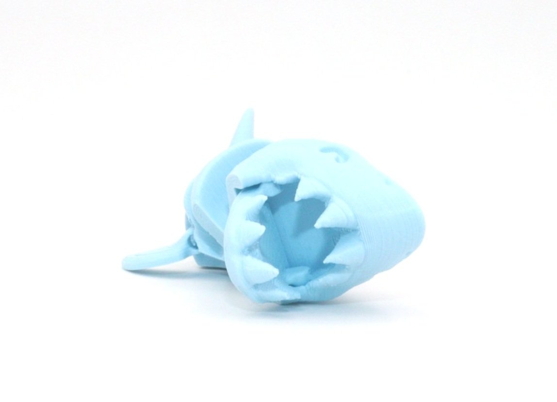 LBlue_Shark_open.jpg
